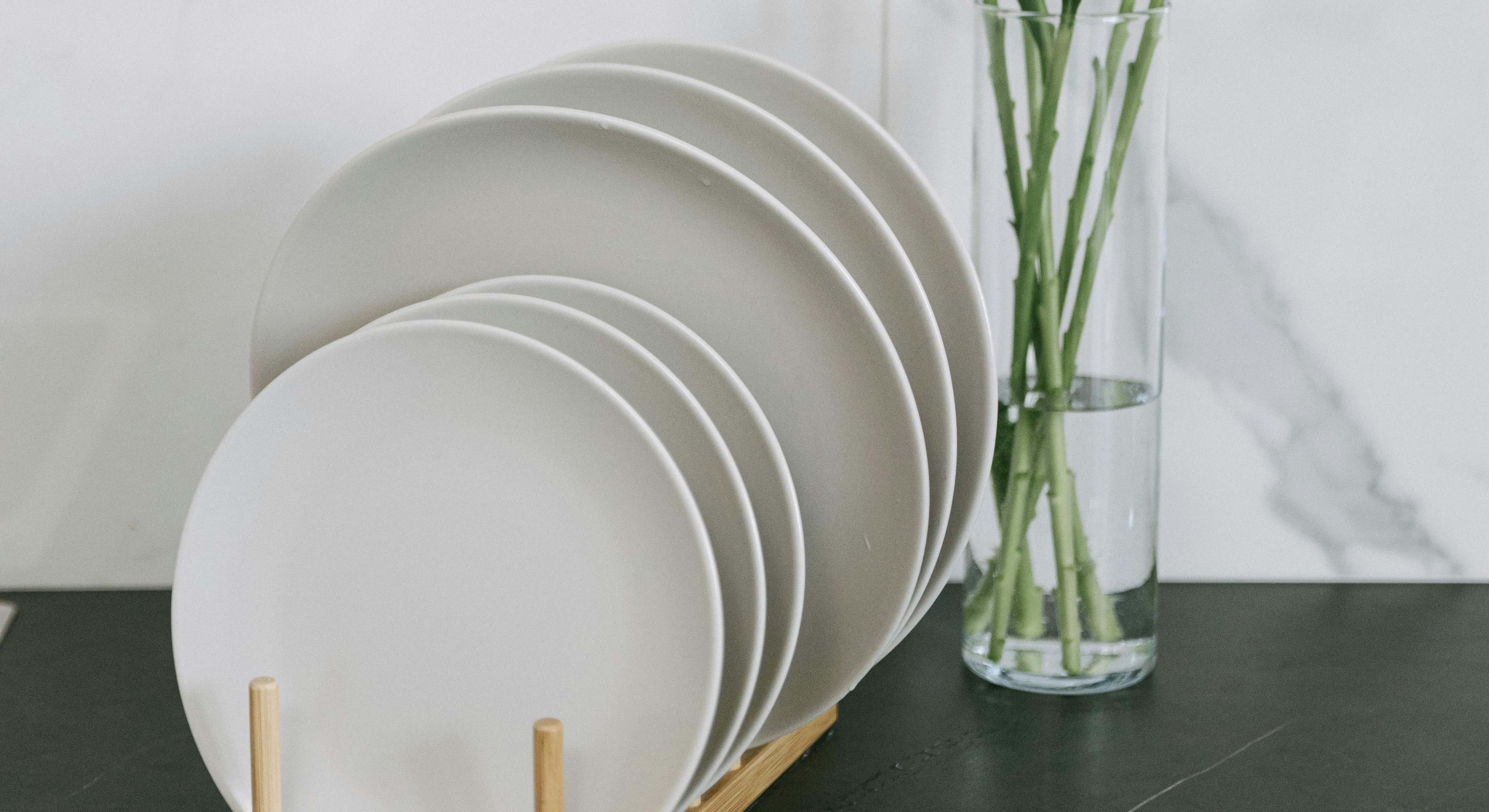 Escurridor de platos con una planta de fondo