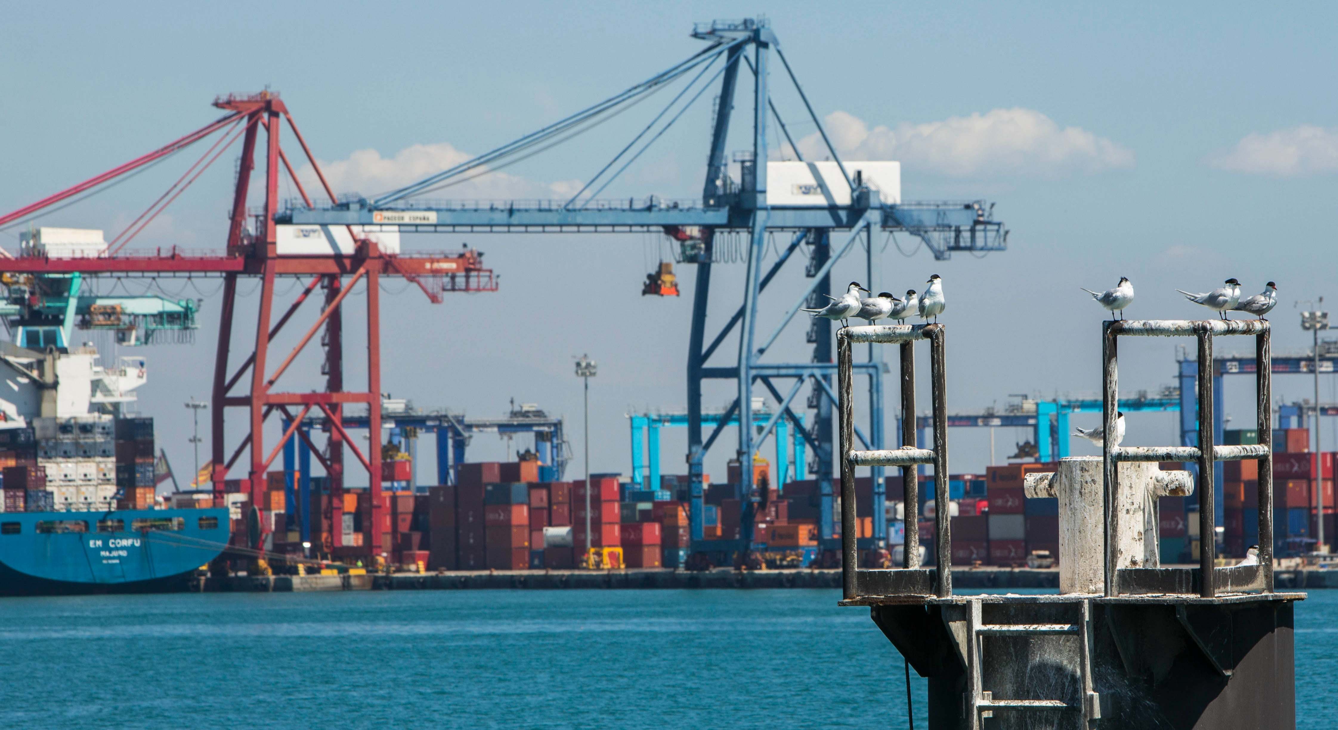 Una terminal del puerto de Valencia.