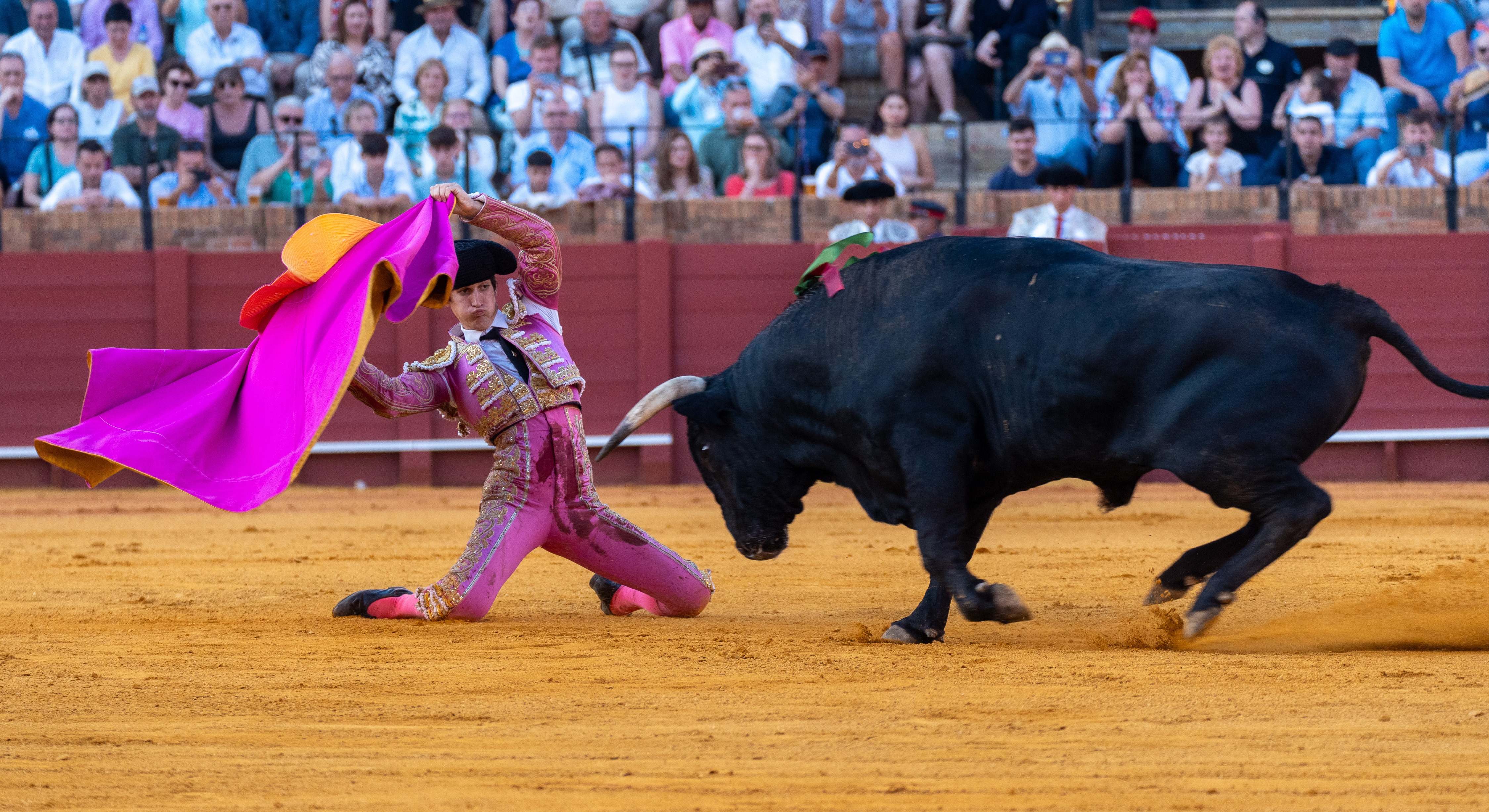"El Mella" toreando.