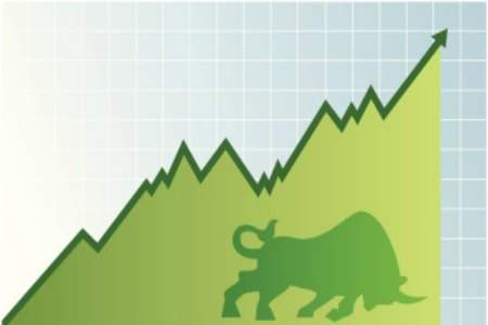 bolsa-verde-toro.jpg