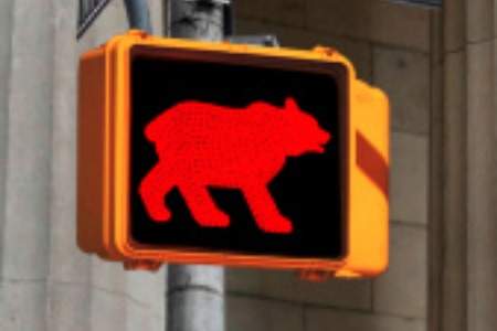 Oso-rojo.jpg