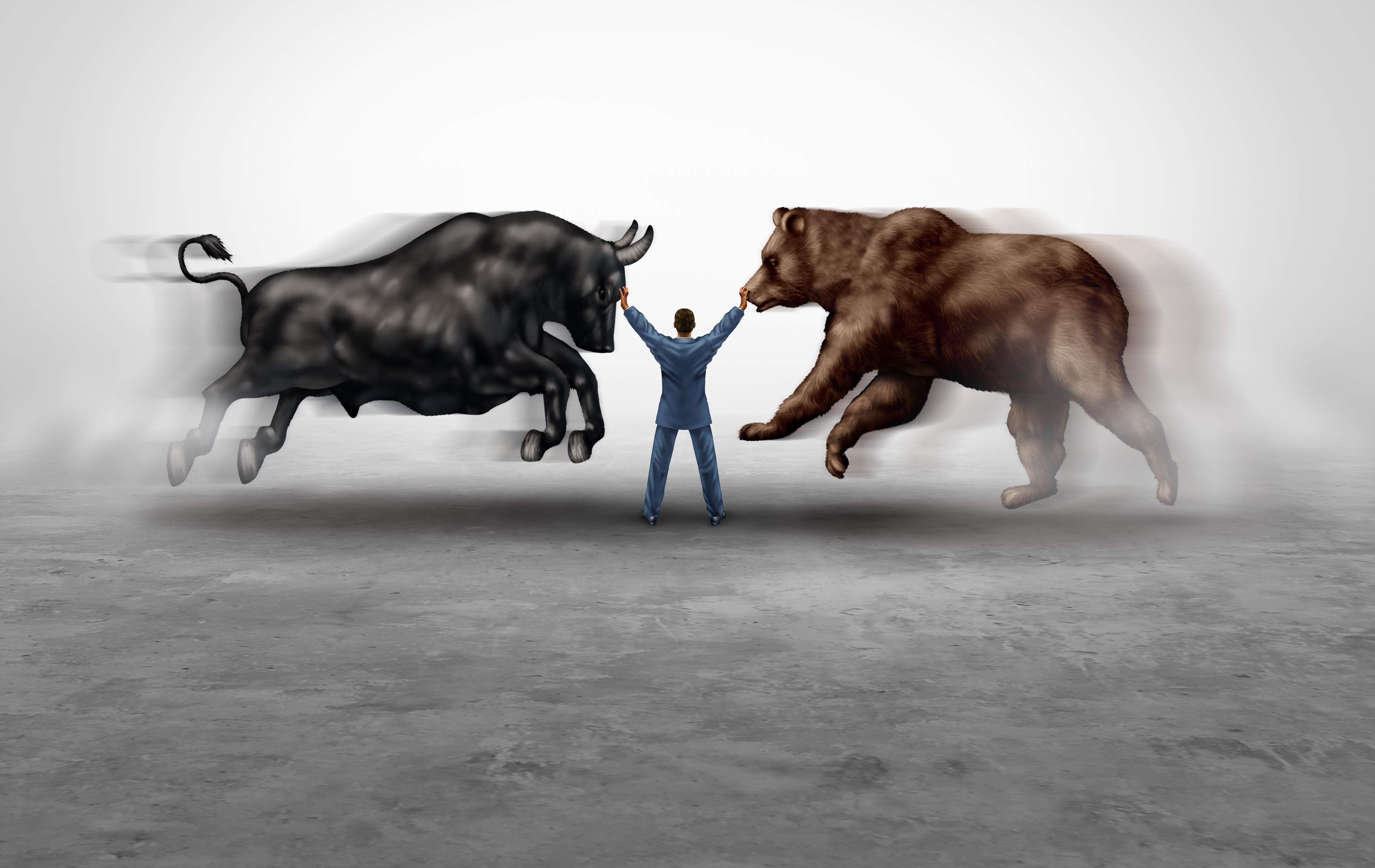 inversor-toro-oso.jpg