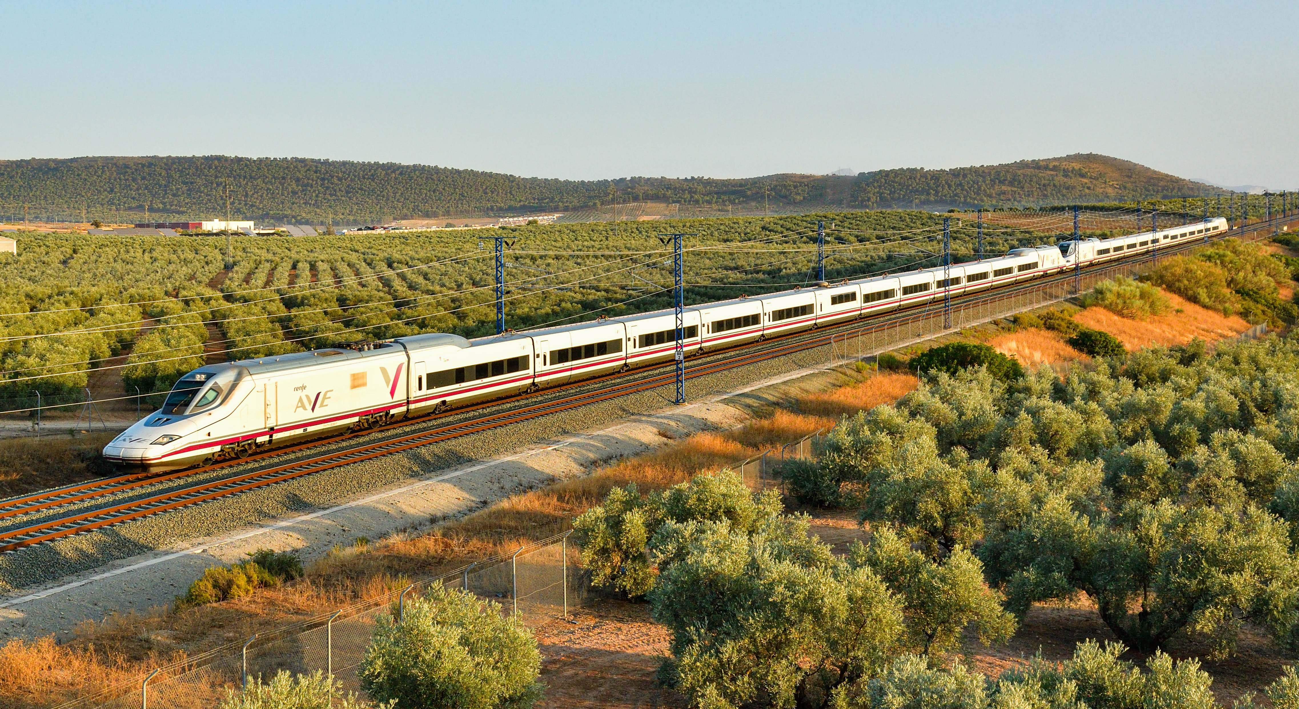 Tren AVE de Renfe a su paso por Fuente de Piedra (Málaga). / Foto: Cesare Sapienza
