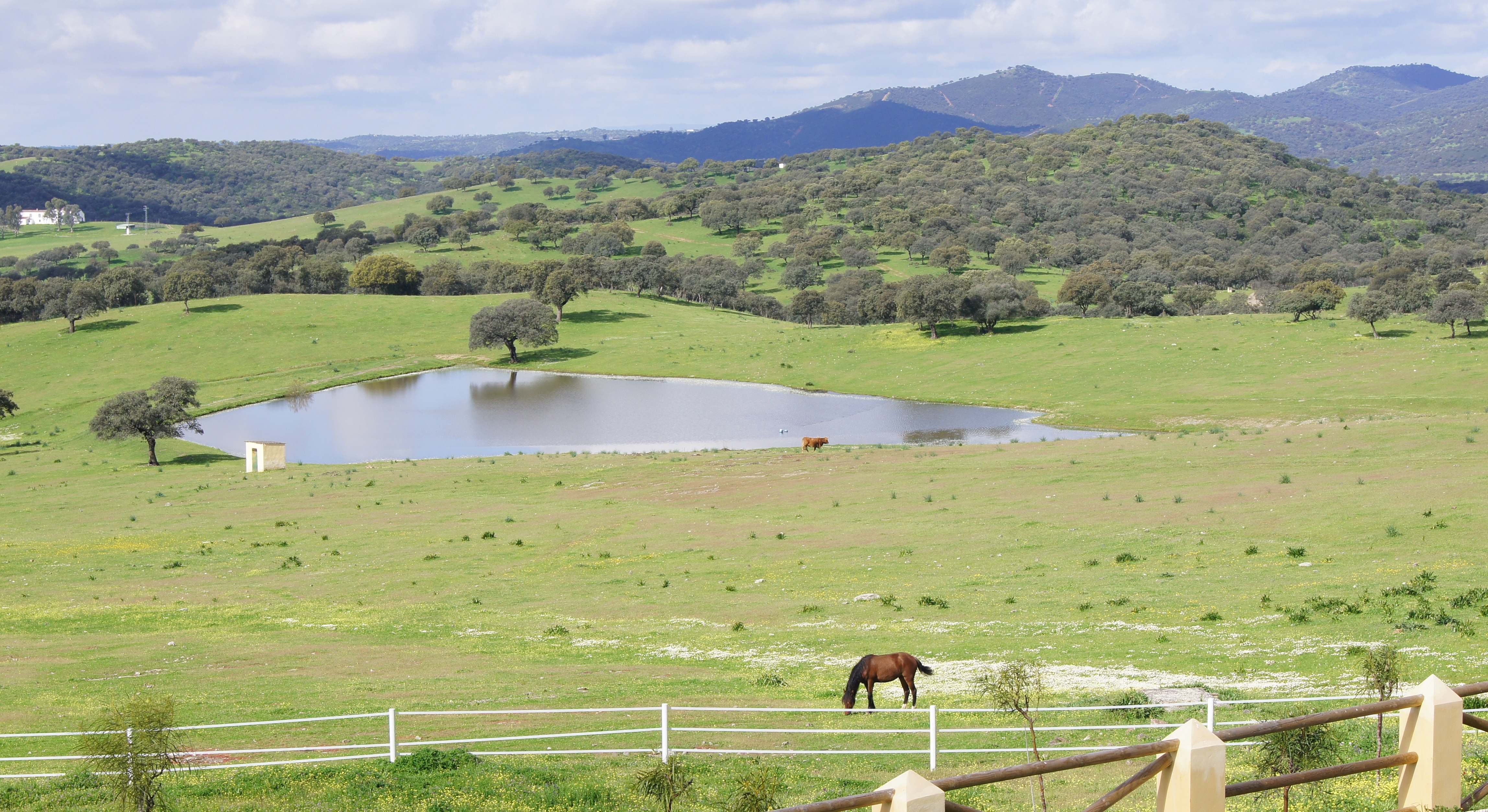 Vista de una finca