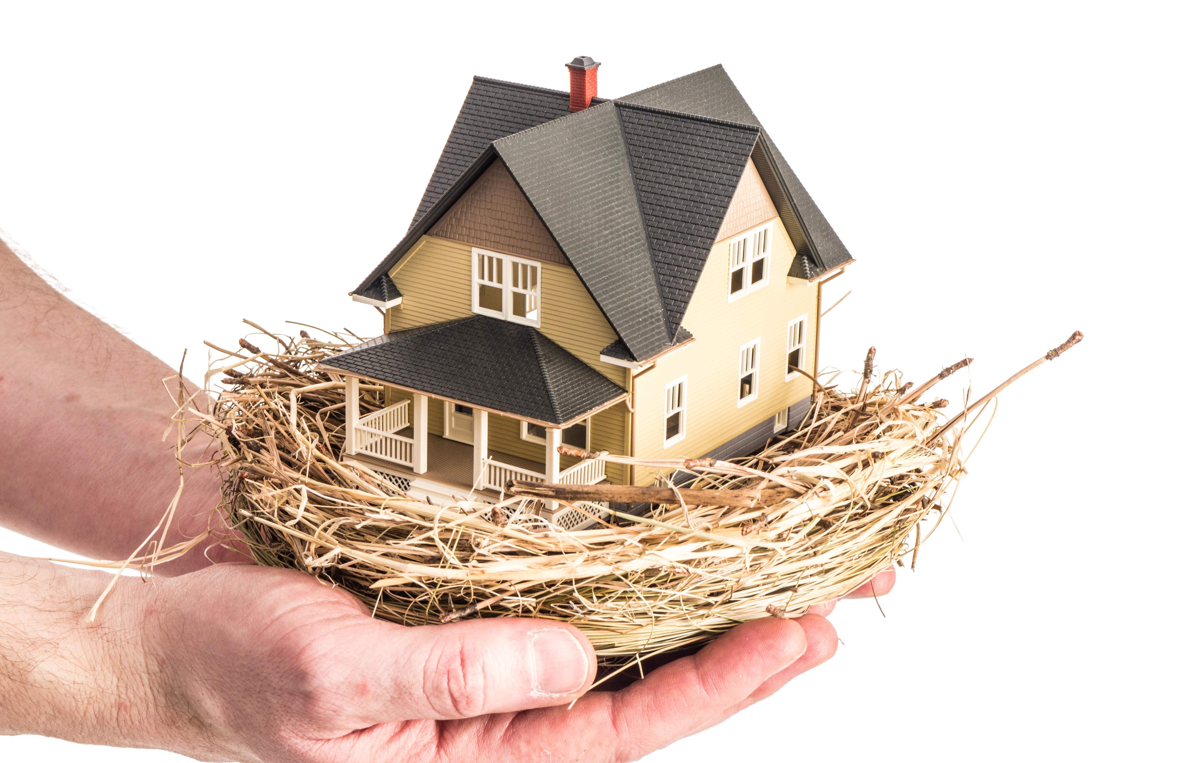 vivienda-nido.jpg