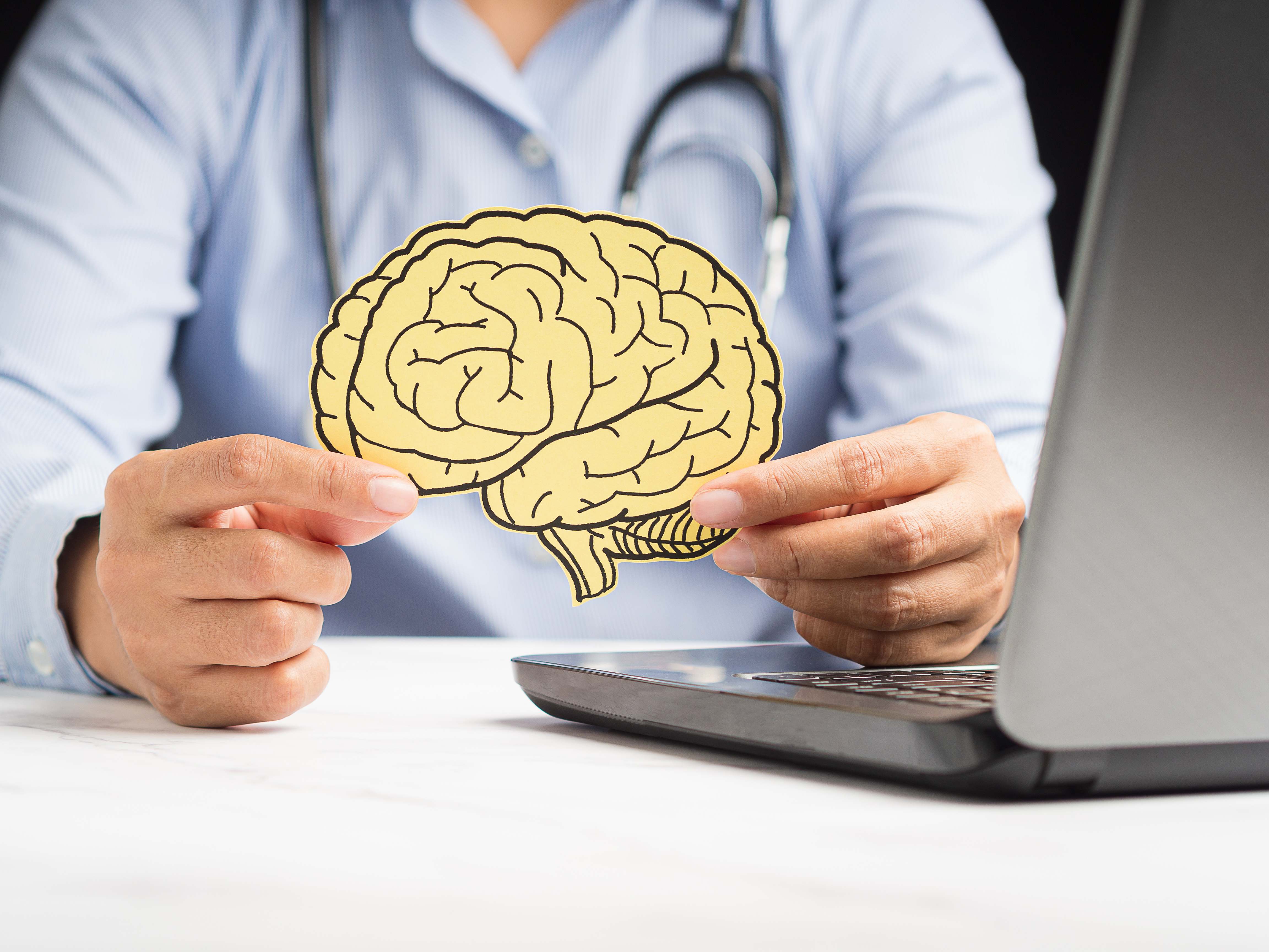 Cerebro.