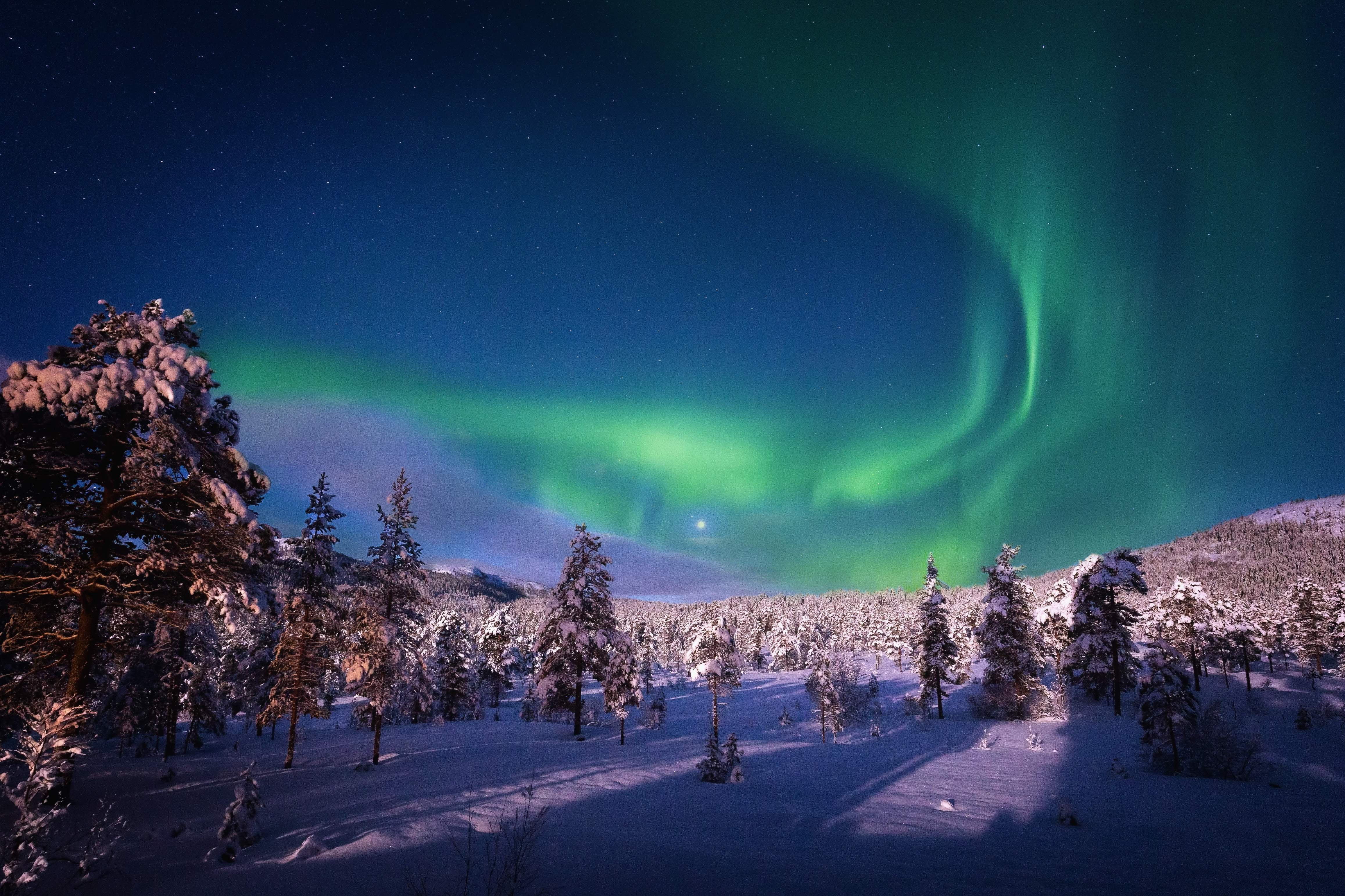 aurora.jpg