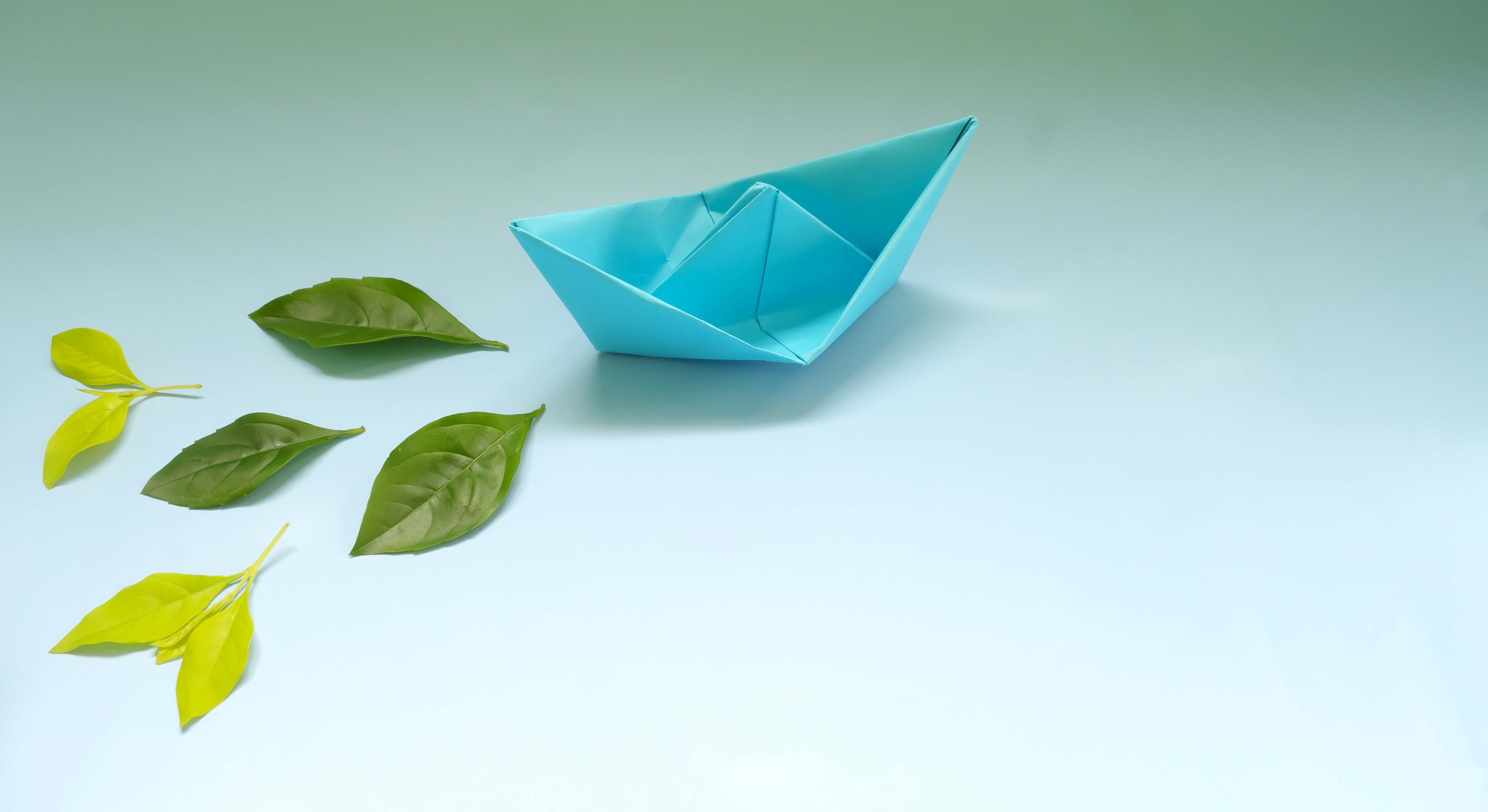 barco-azul-hojas-verdes