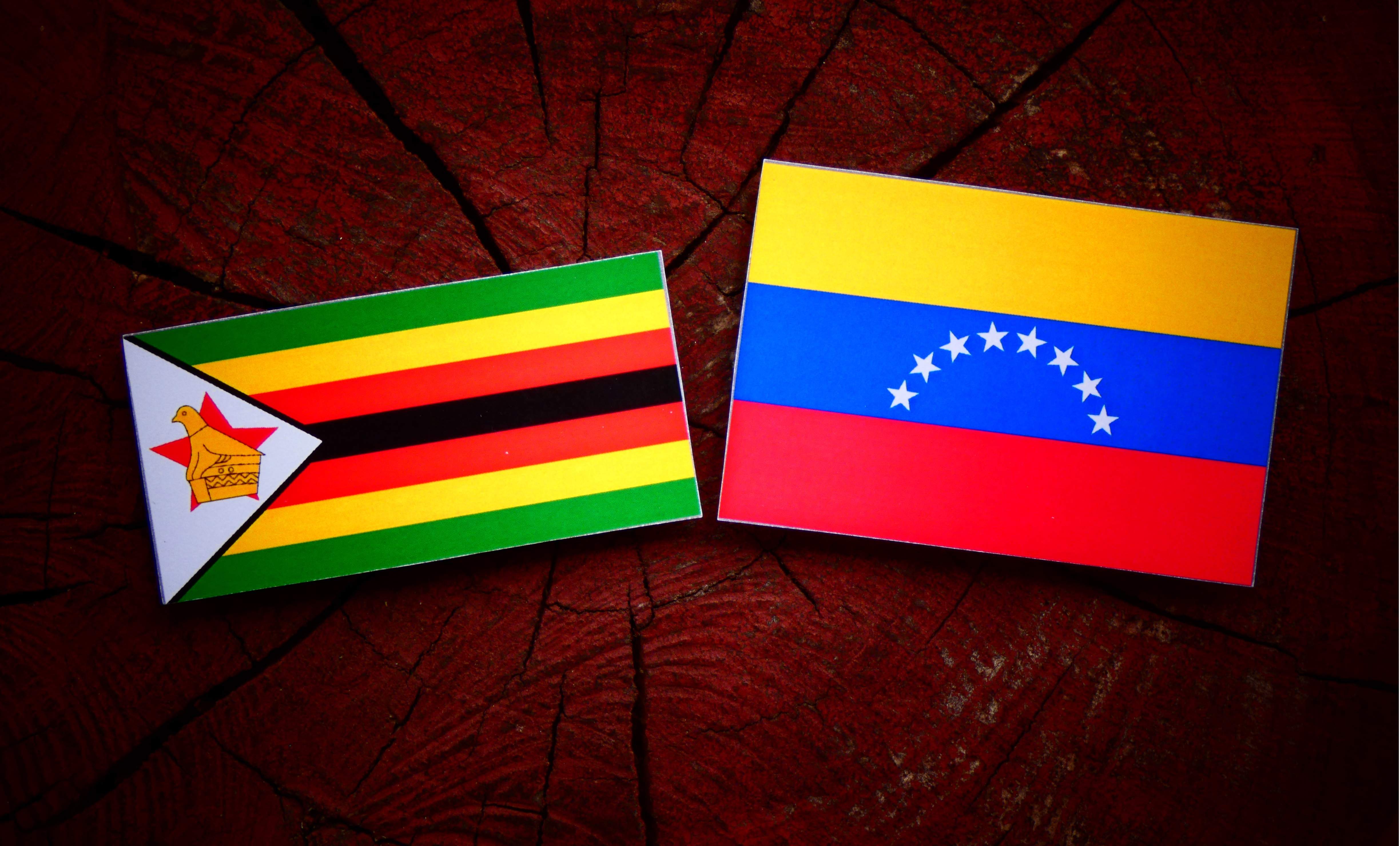 zimbabu-venezuela.jpg