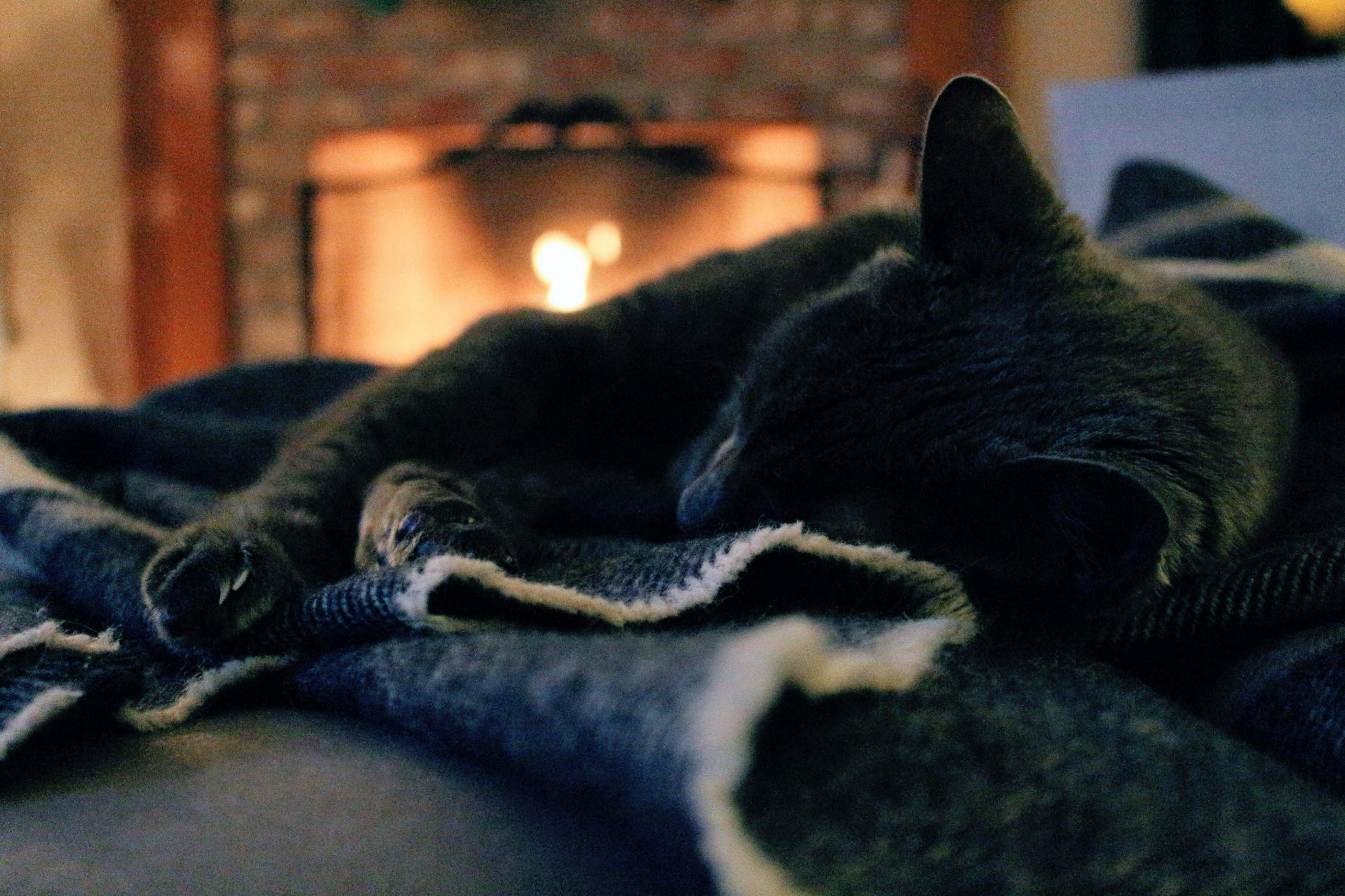 Una manta apoyada sobre un sofá, con una chimenea de fondo