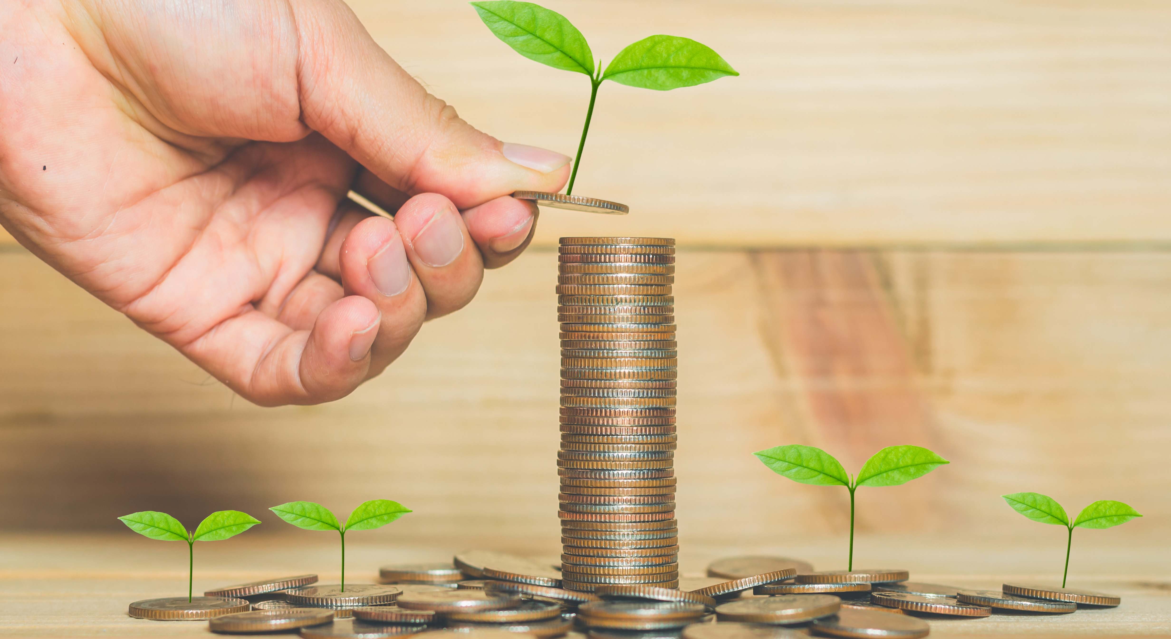 Cómo asumir los criterios ESG en la empresa