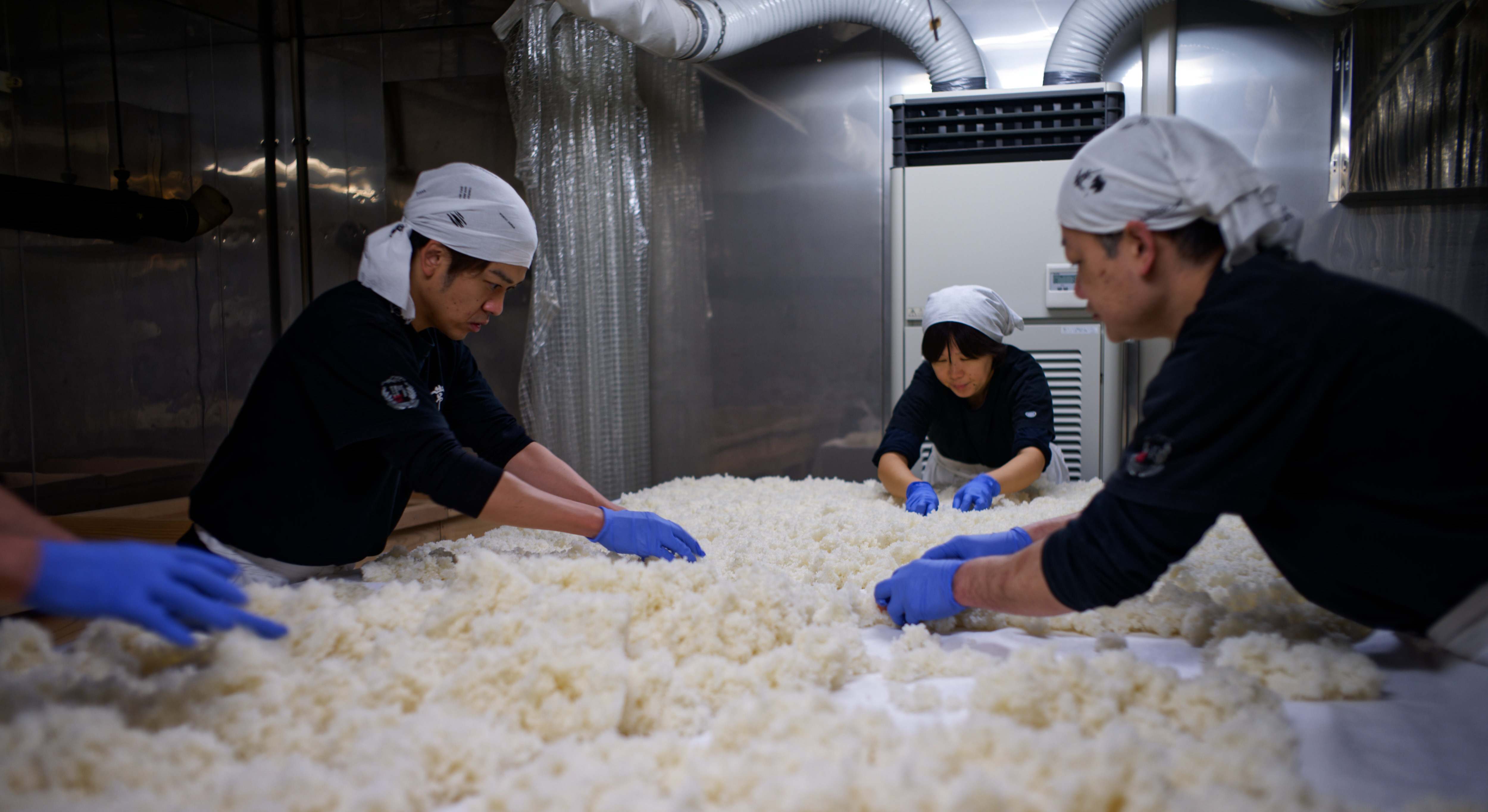 Trabajadores separando arroz. Foto: Europa Press