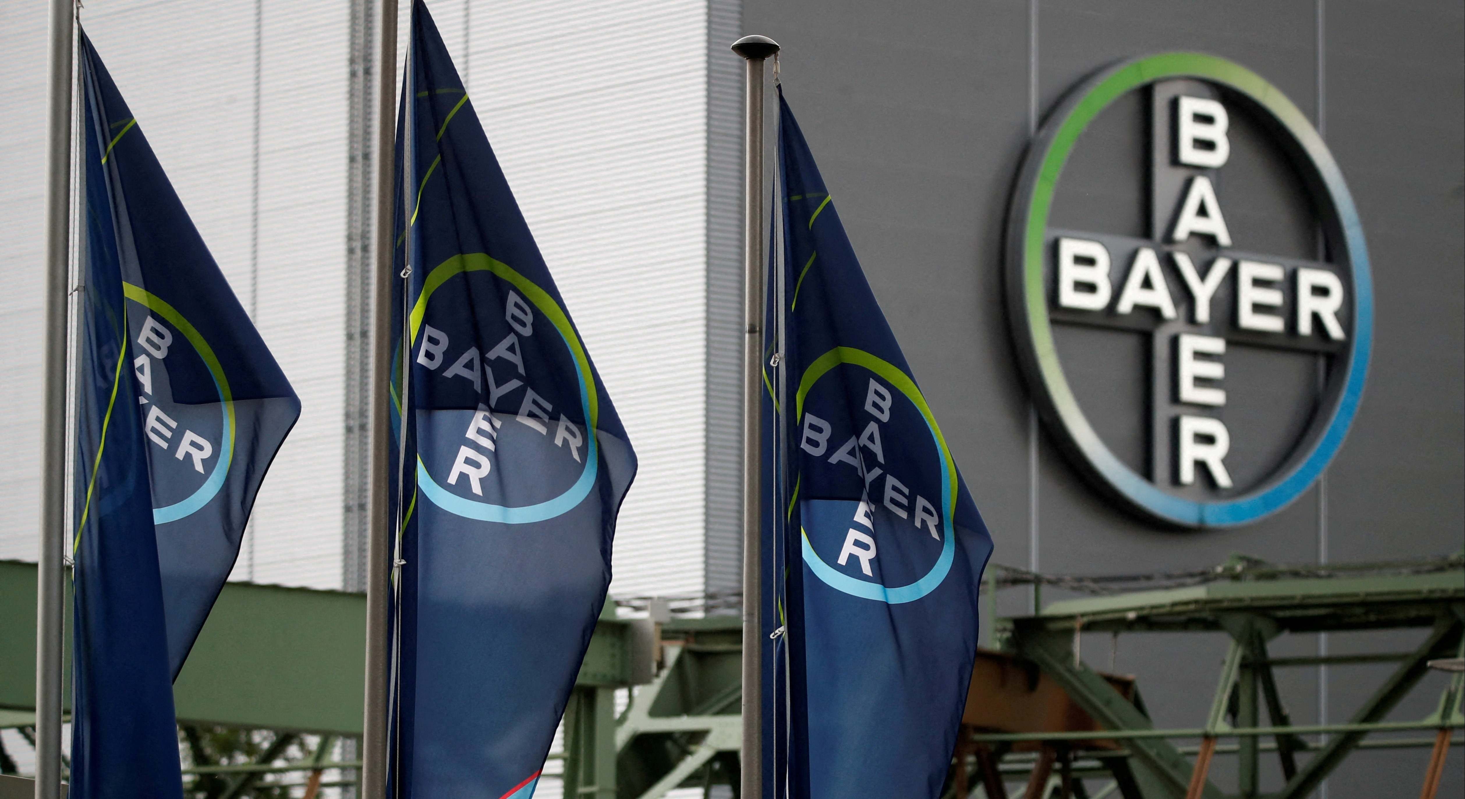 bayerbayer
