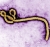 ebola-50.jpg