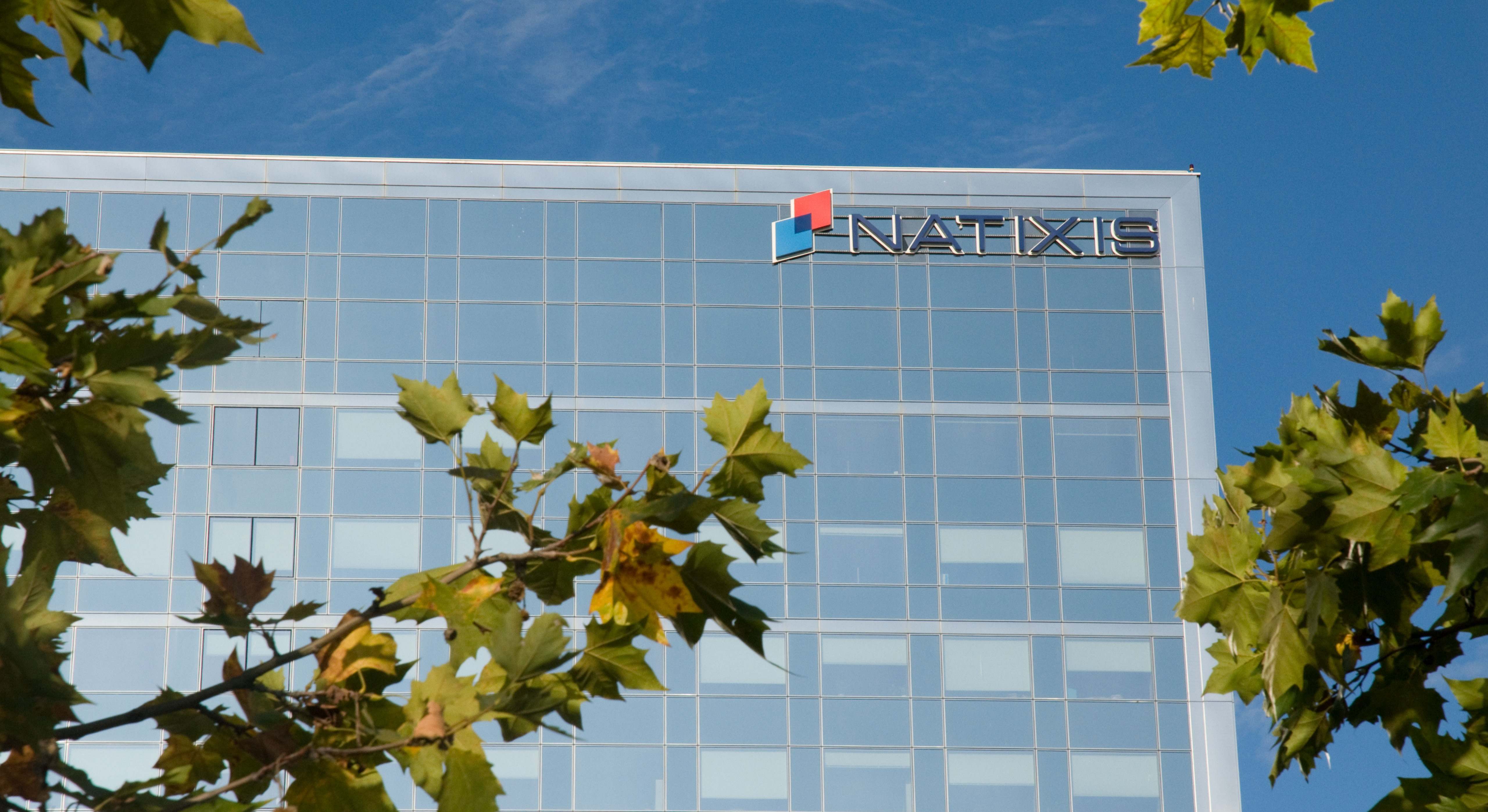Natixis IM