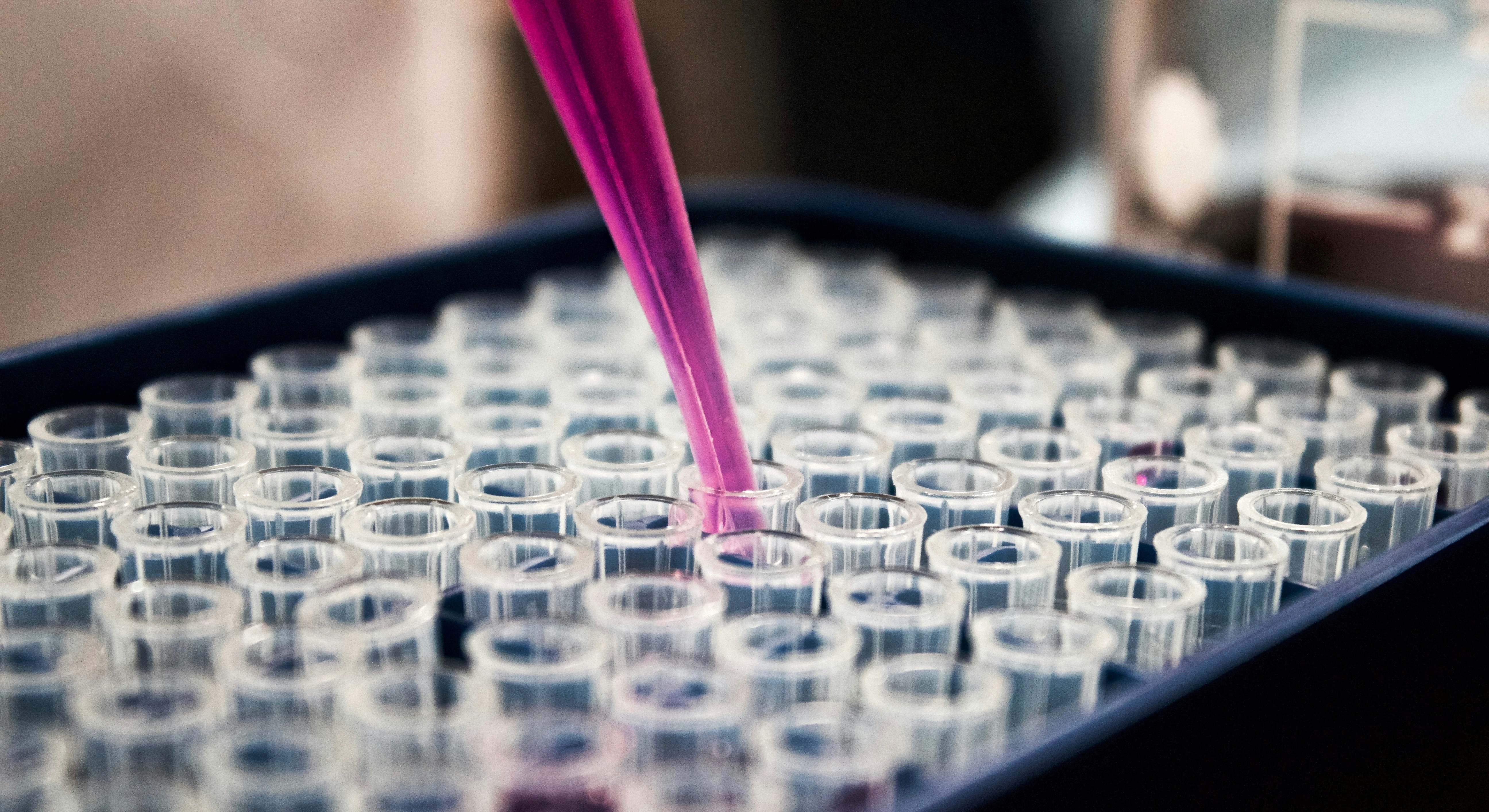 Exploración médica