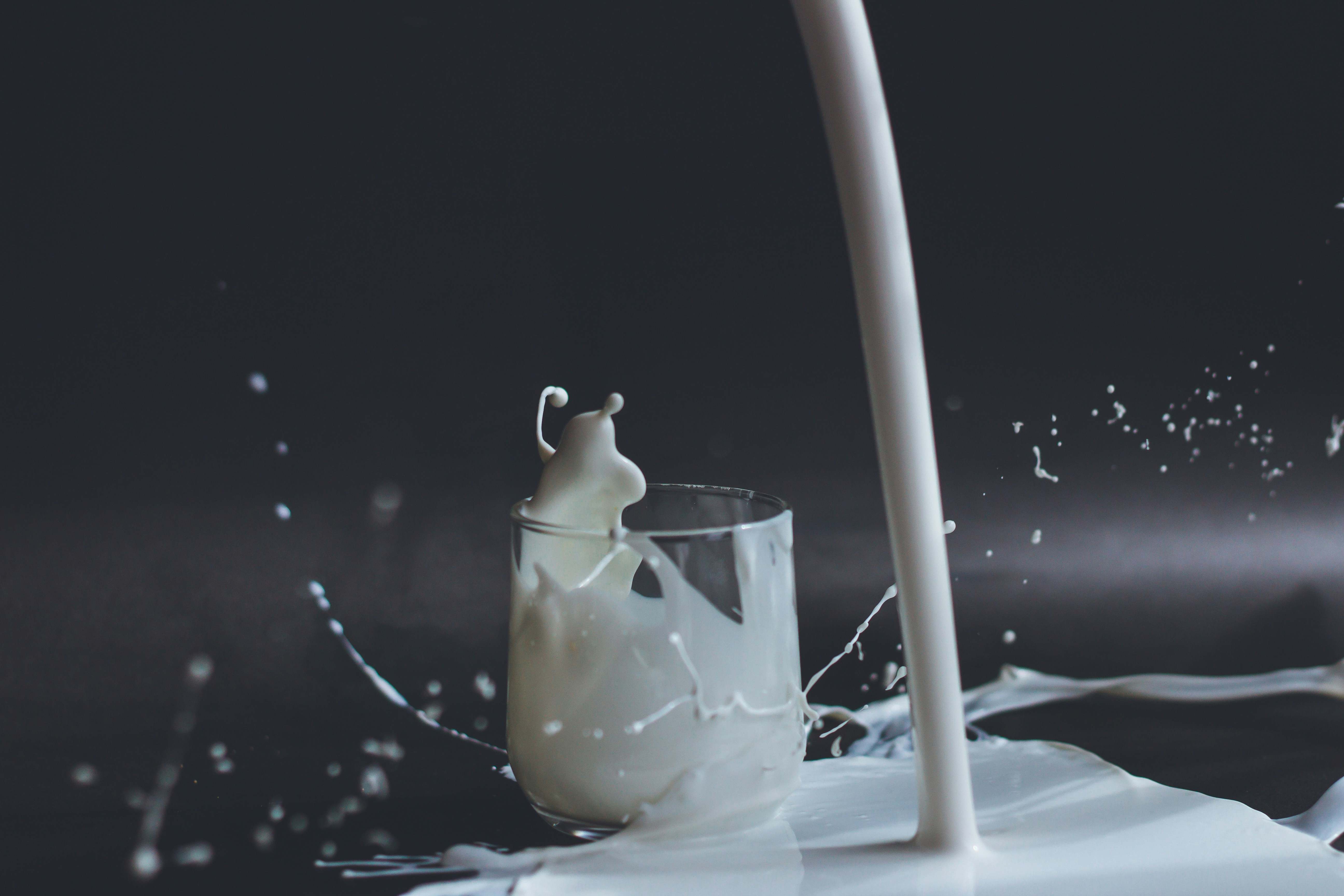 La leche aporta muchos nutrientes, además de agua y minerales