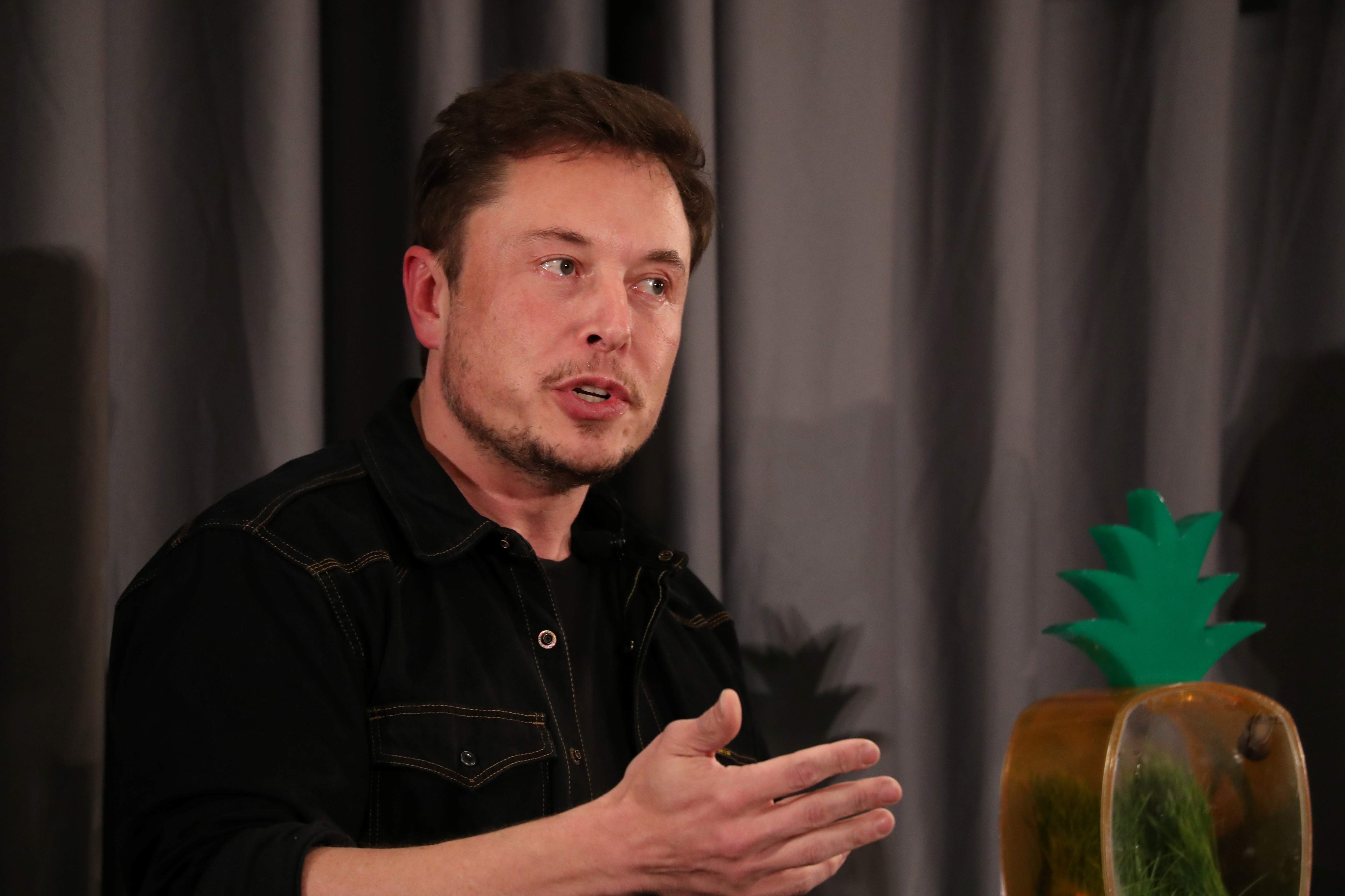 elon-musk.jpg