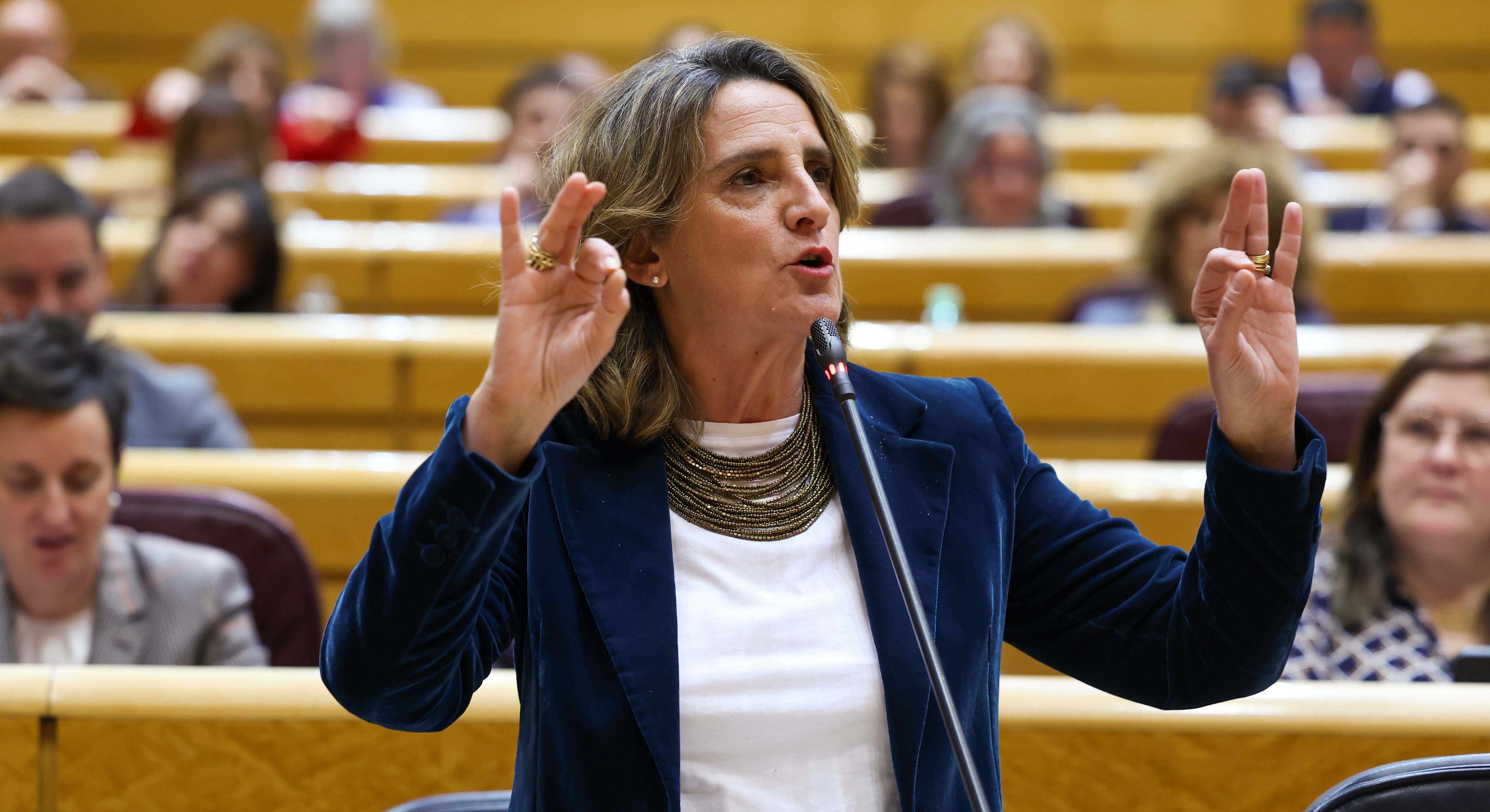 Teresa Ribera