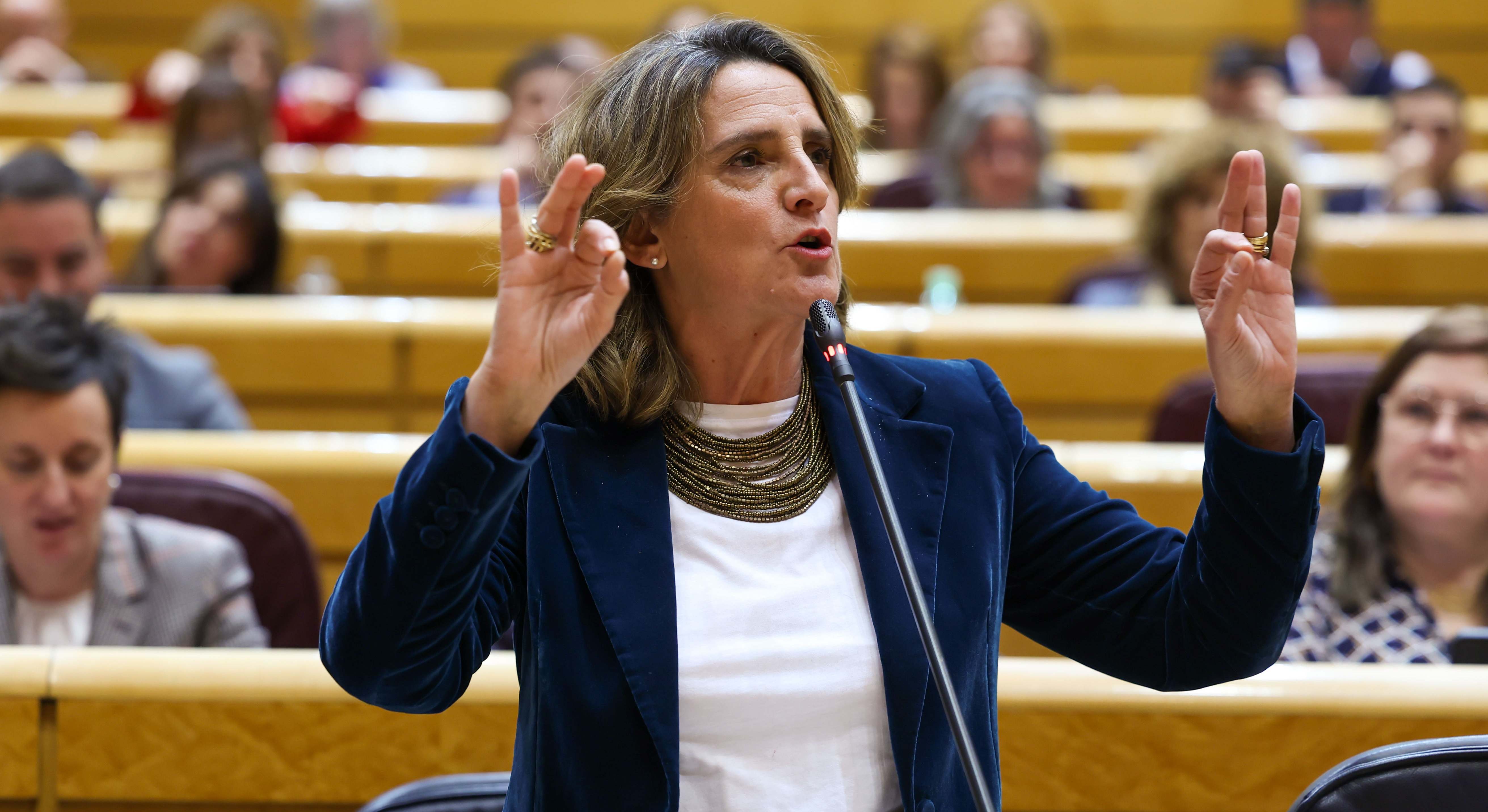 Teresa Ribera, vicepresidenta de Comisión Europea