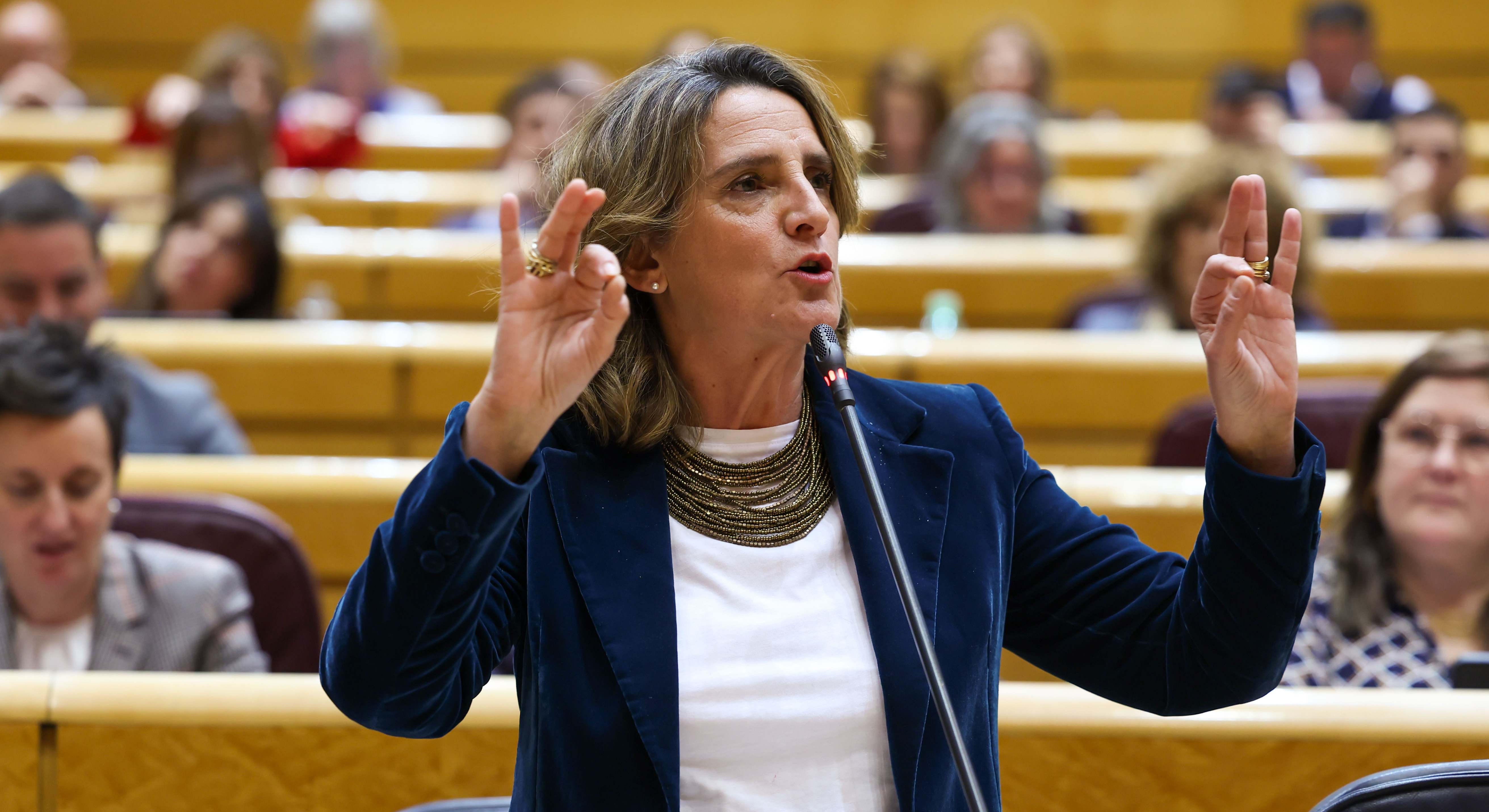 Teresa Ribera, vicepresidenta de la Comisión Europea