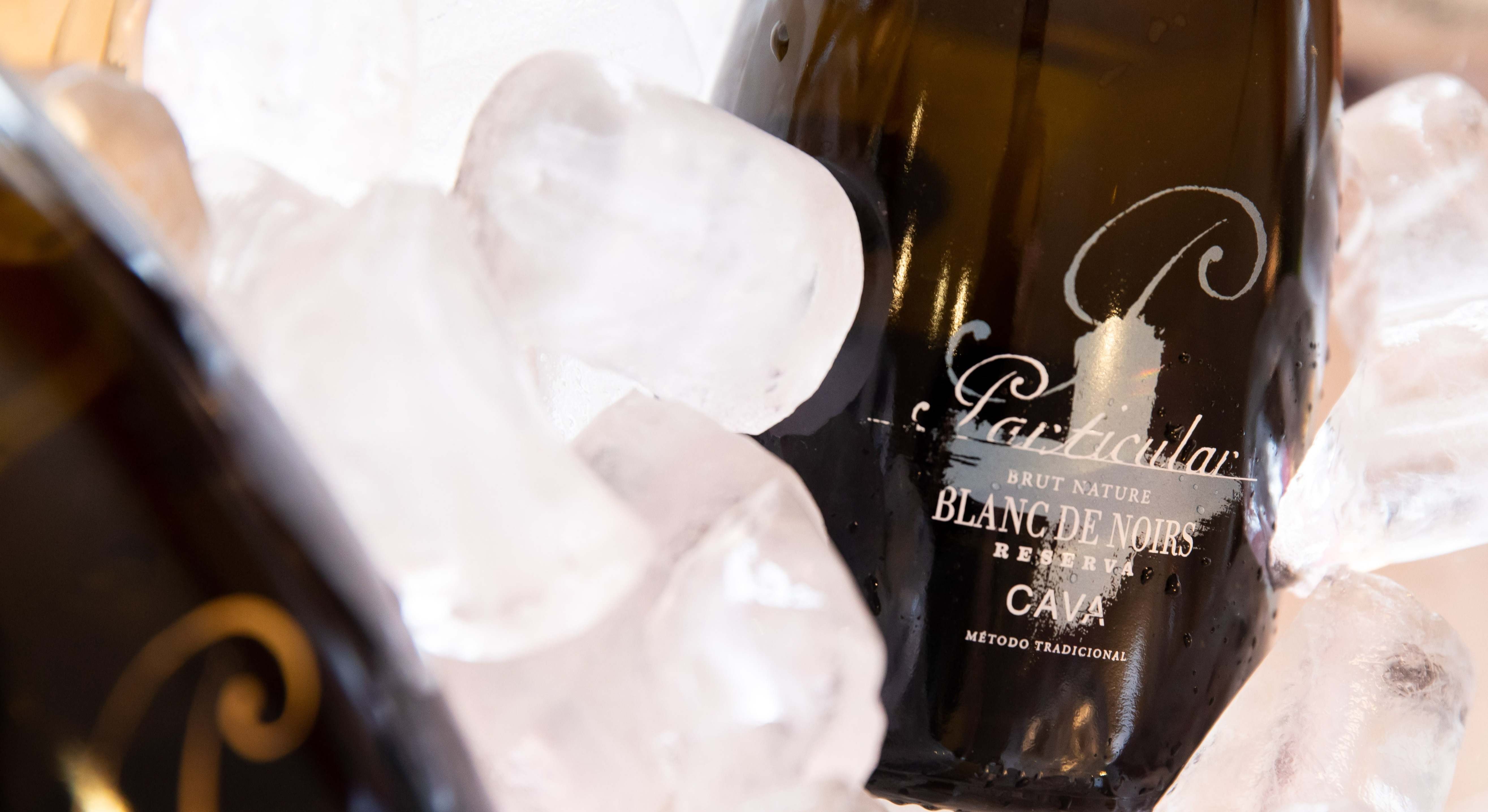 cava-bodegas-san-valero.jpg