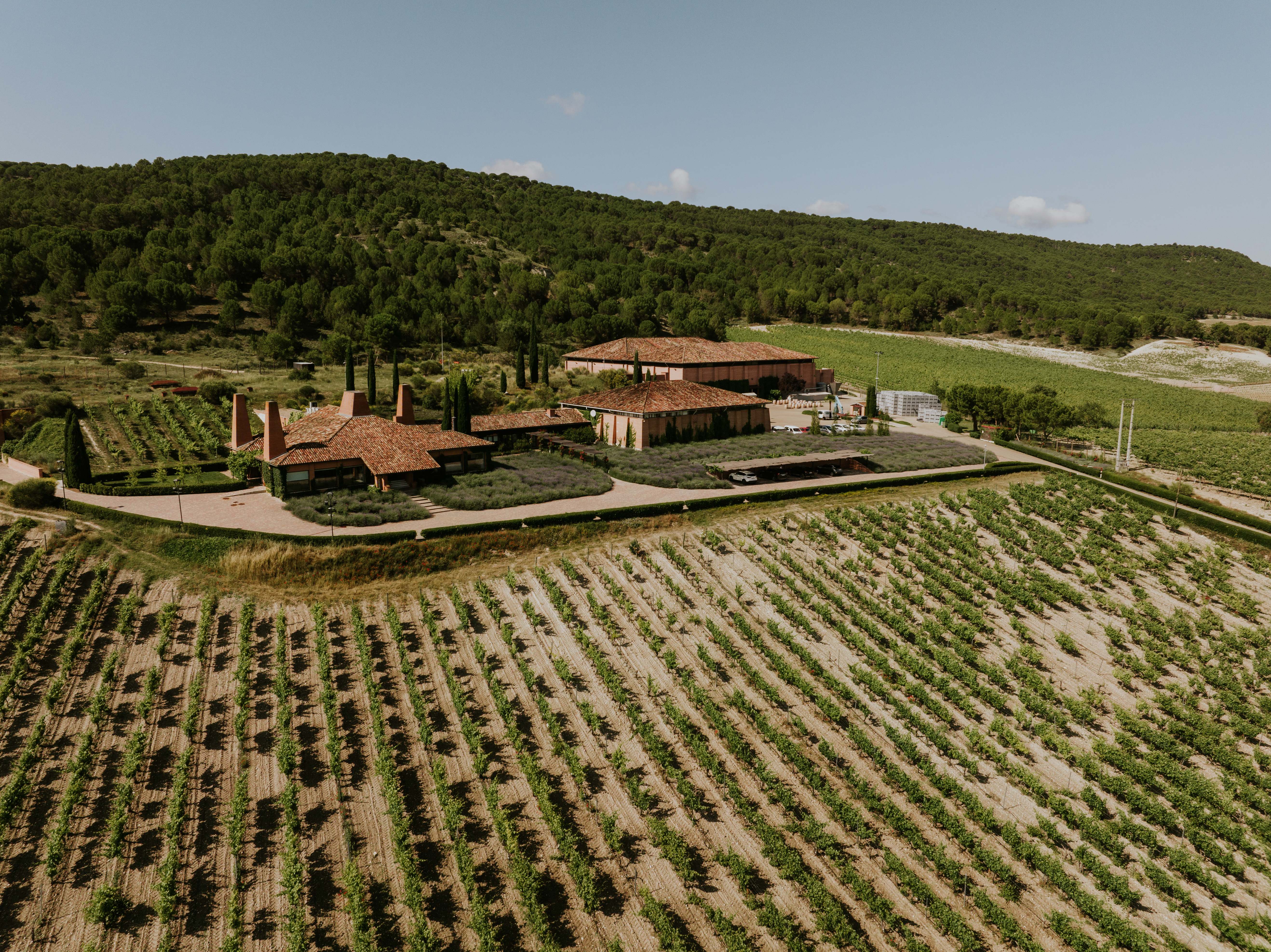 Bodega de Sogrape en Ribera del Duero