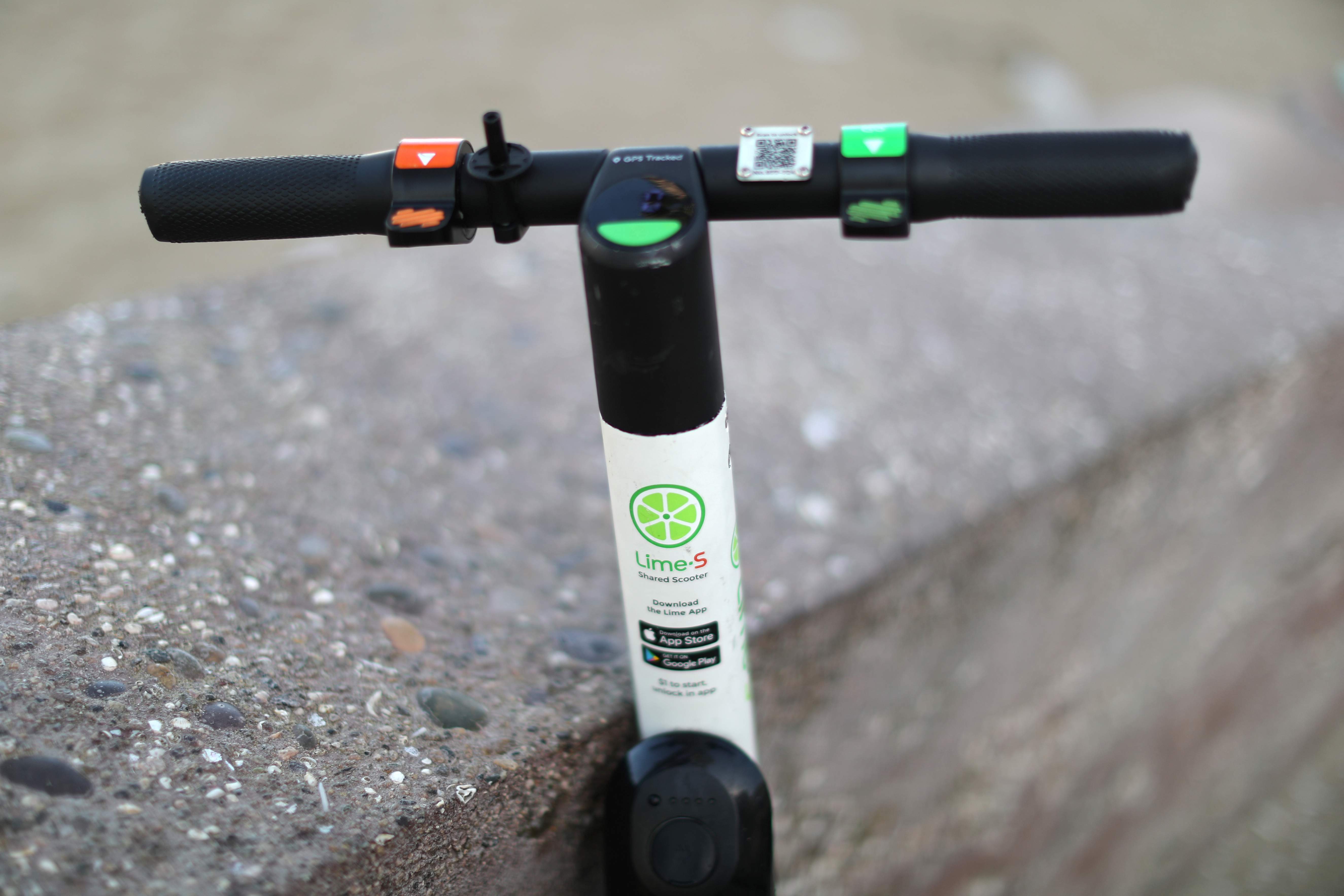 lime-3.jpg
