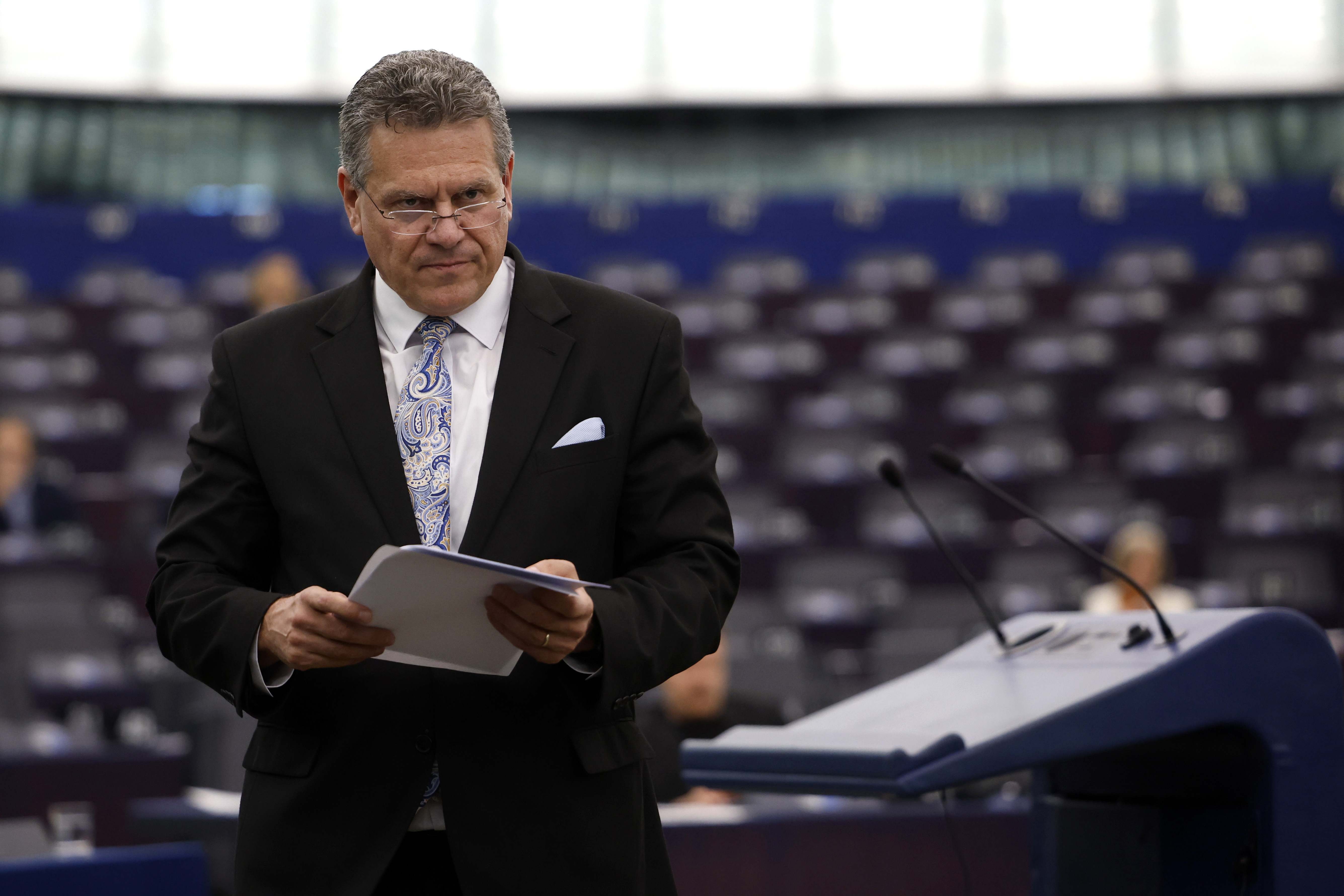 El comisario de Comercio y Seguridad Económica, Maro ef?ovi?. 