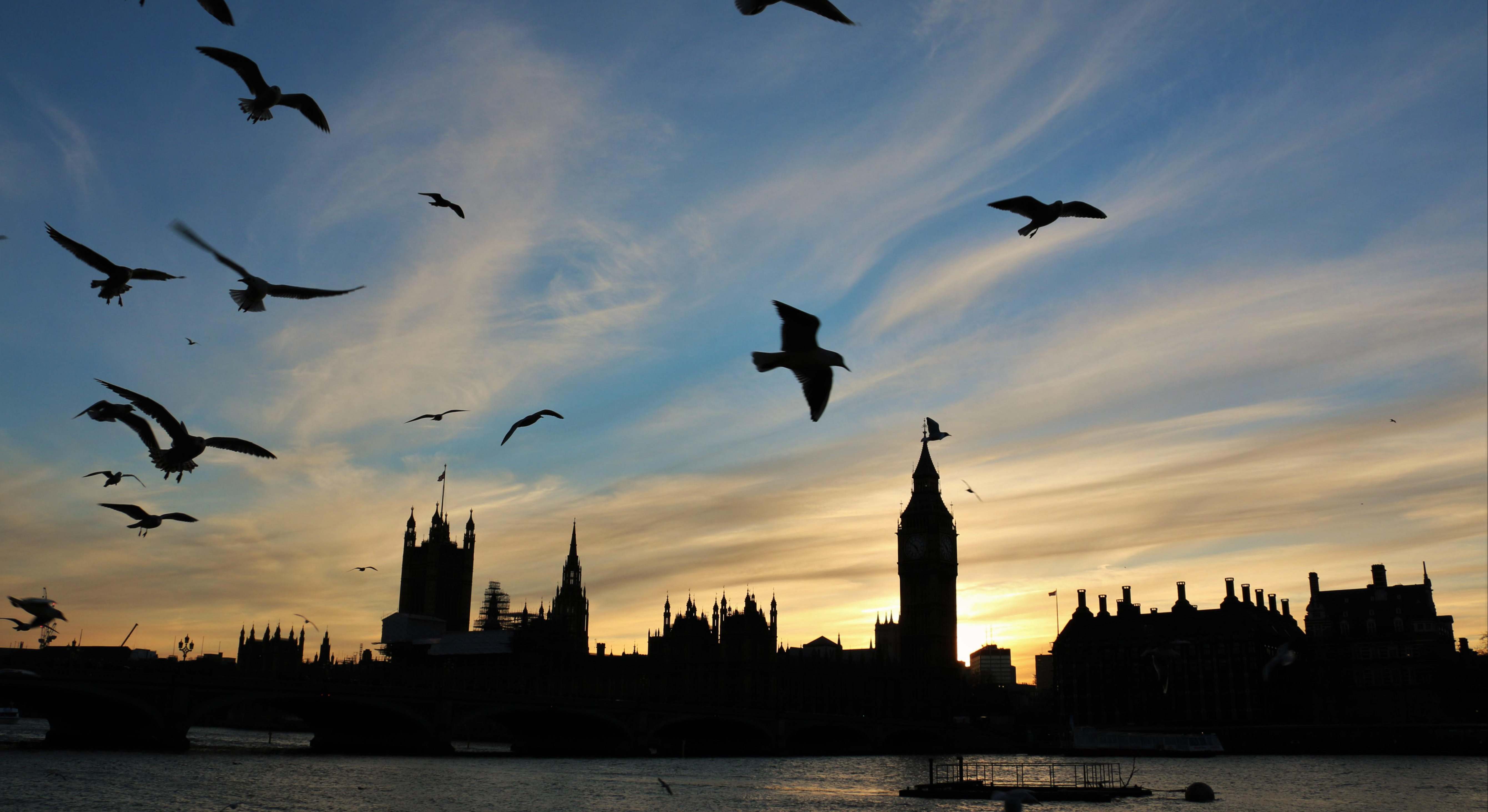 Pájaros sobre Londres