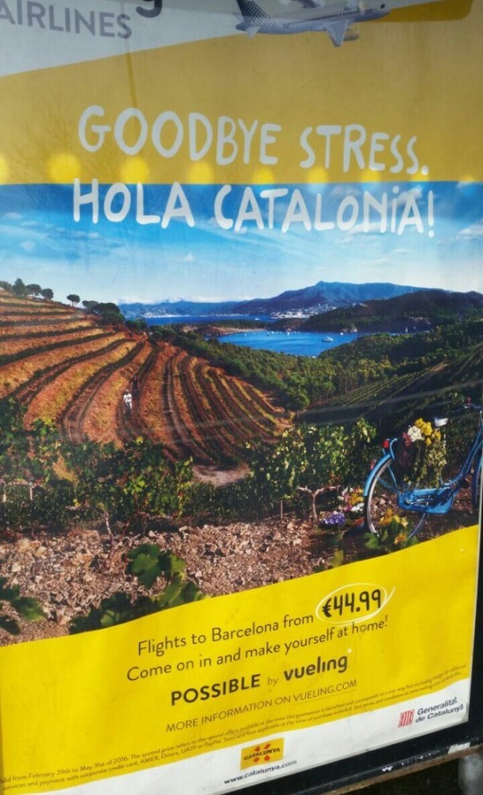 promociócat.jpg