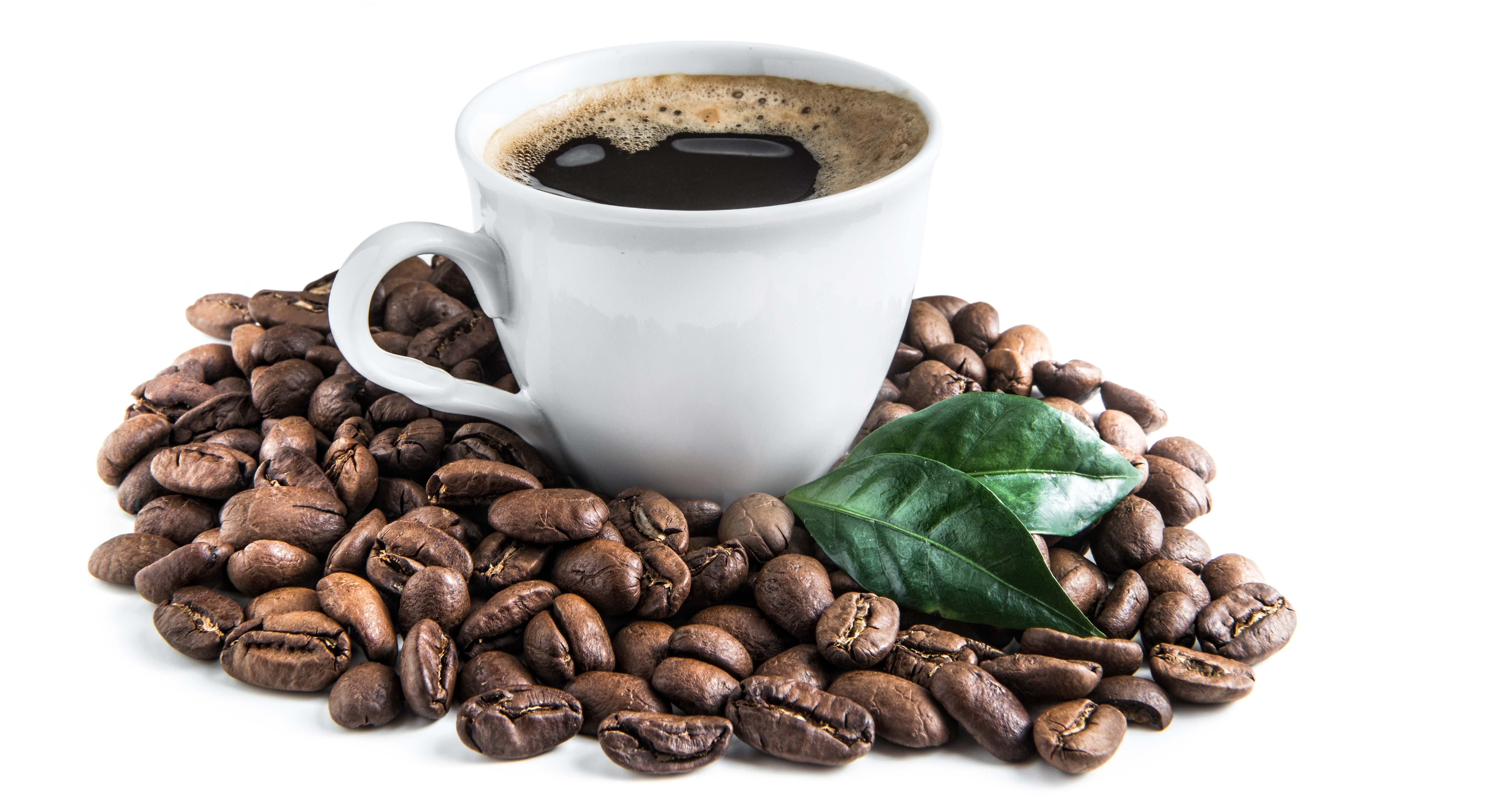 illycaffè revalida su compromiso como empresa ESG