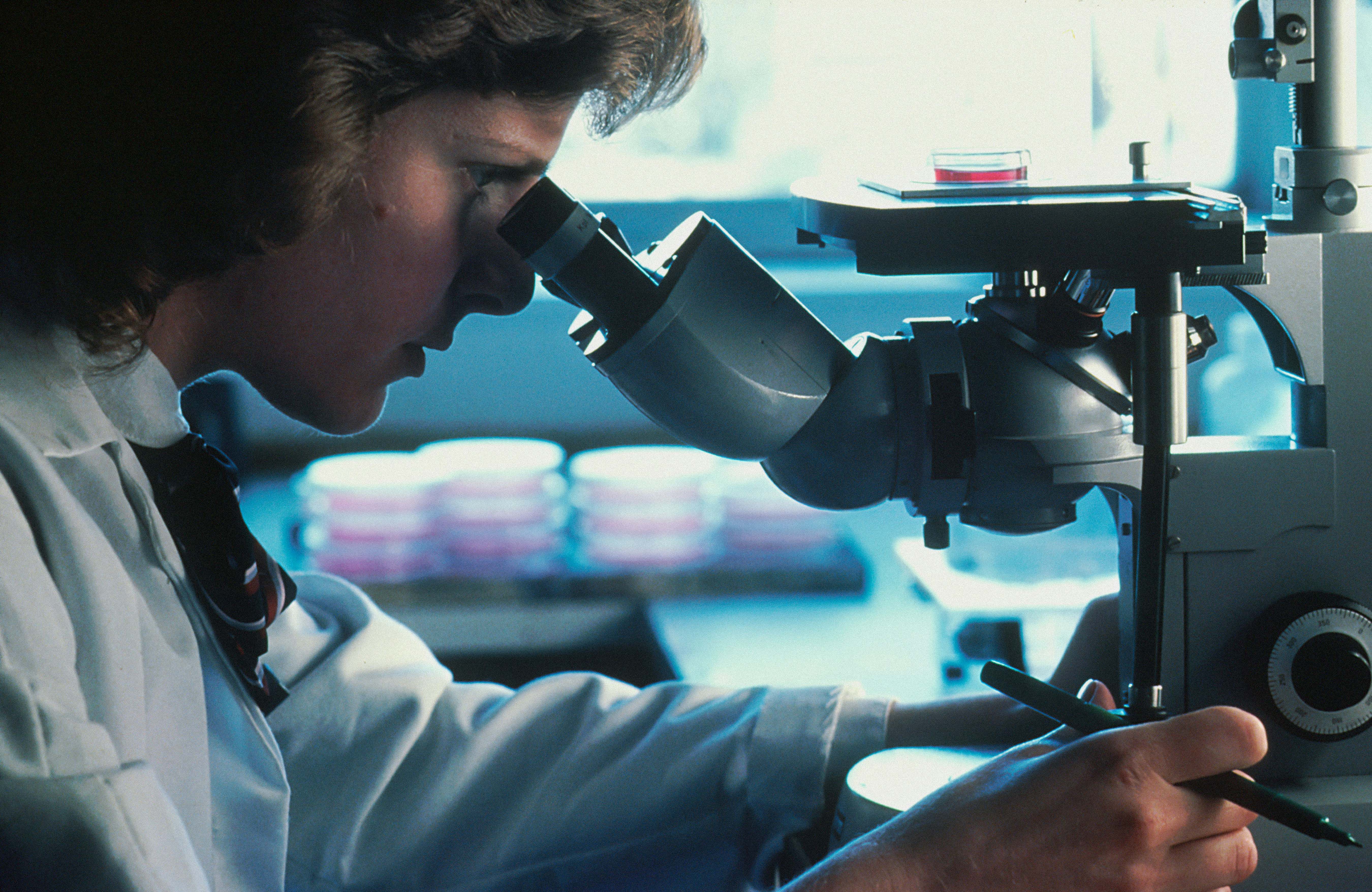 Una investigadora en acción