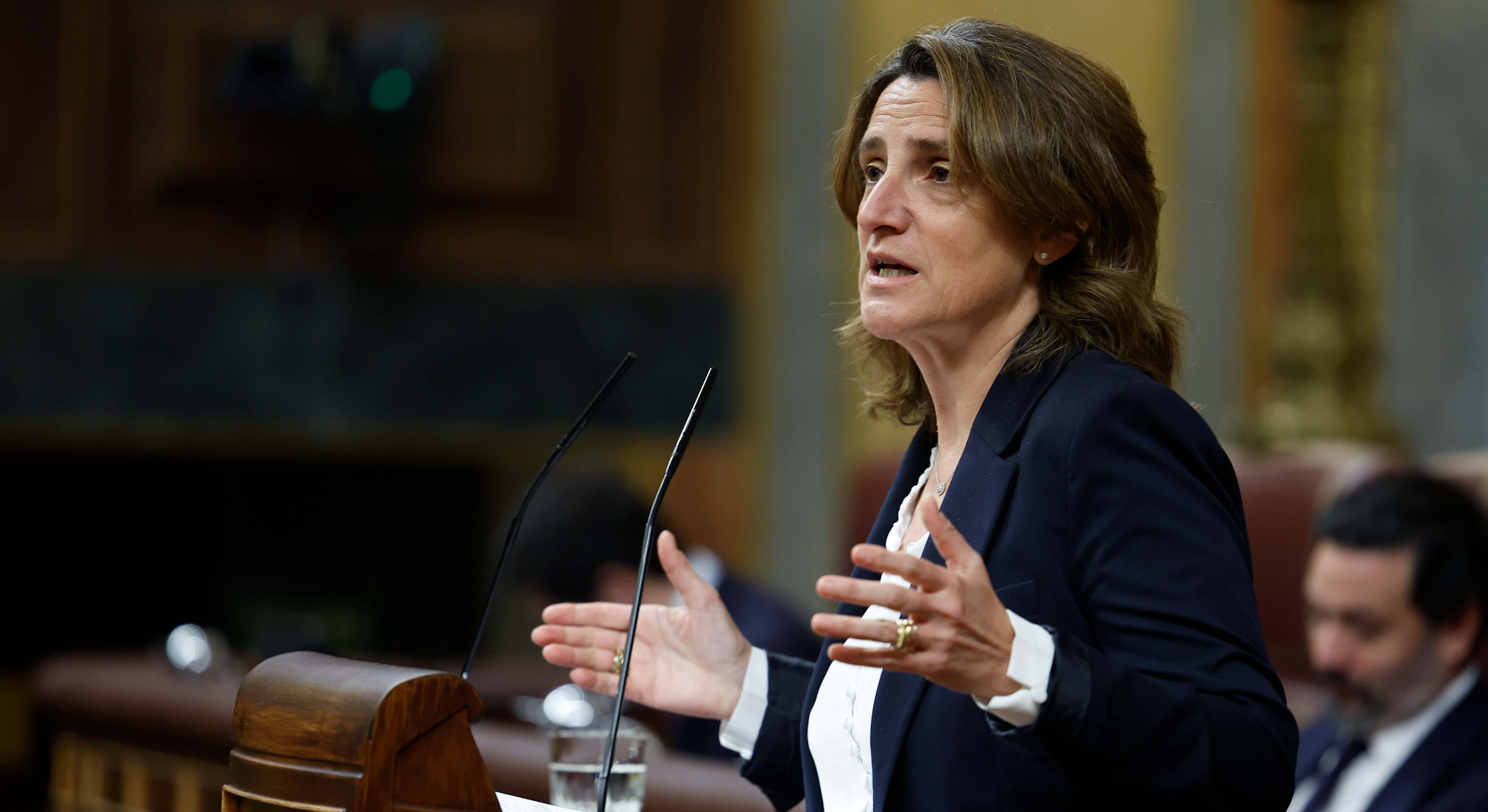 Teresa Ribera