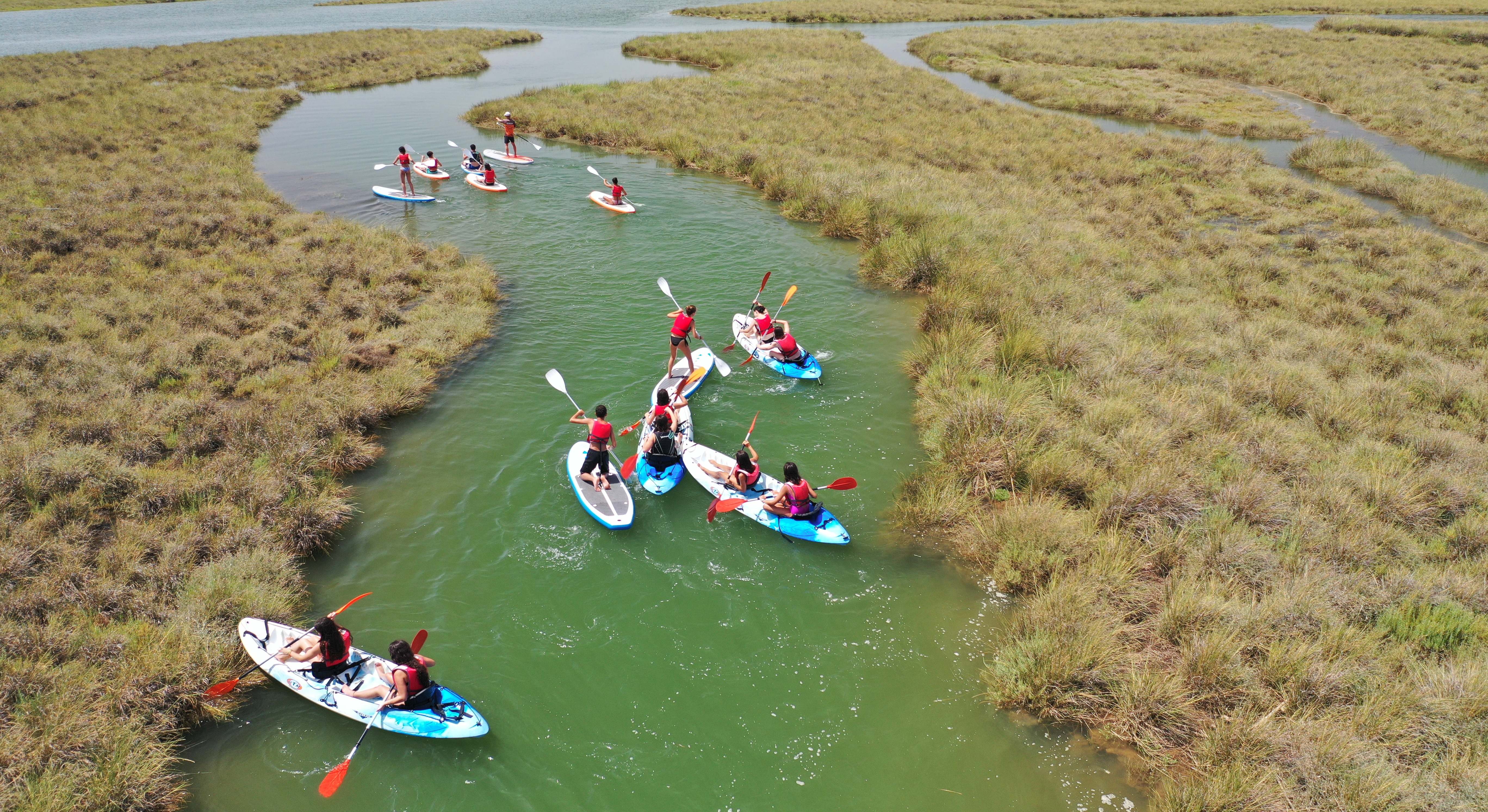 Actividad Isla Gran ola