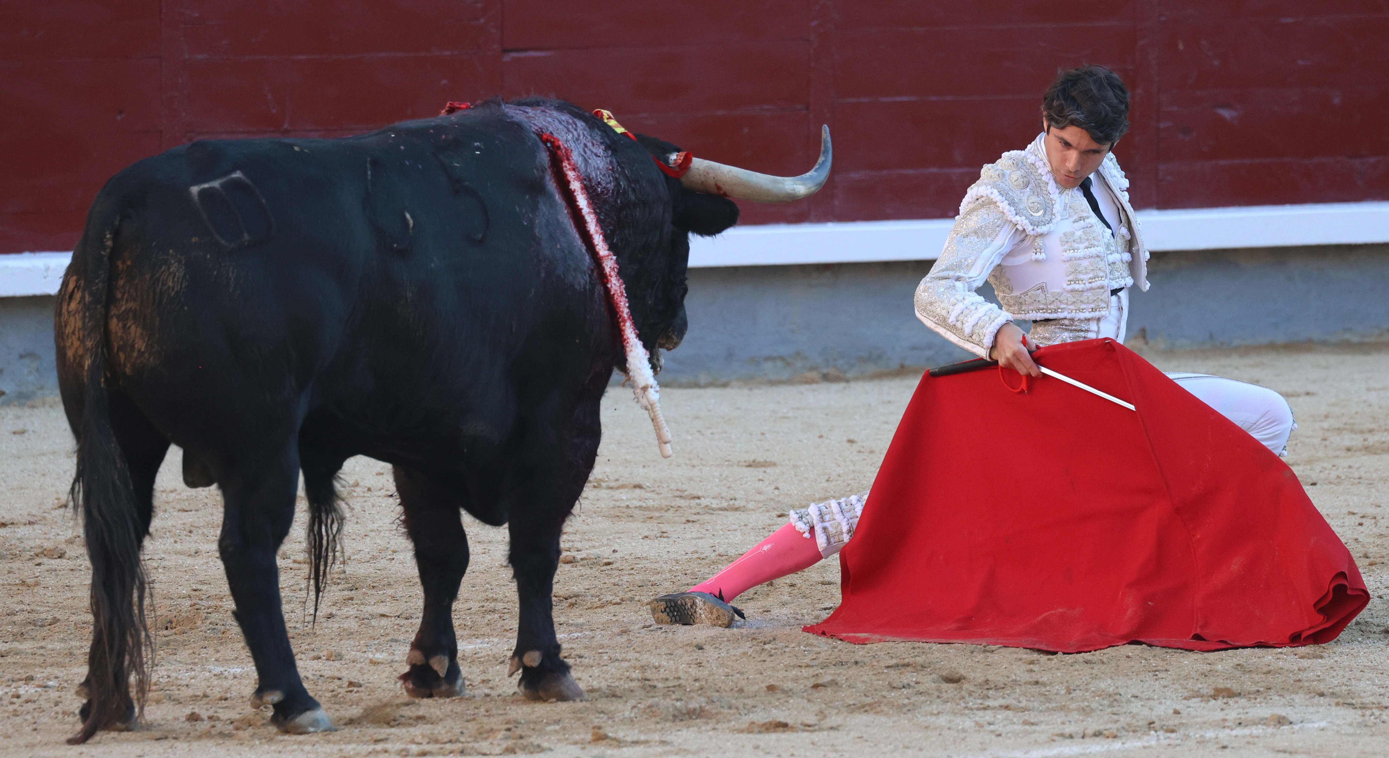 El torero Sebastián Castella durante la corrida en Las Ventas, a 25 de mayo de 2024, en Madrid (España).