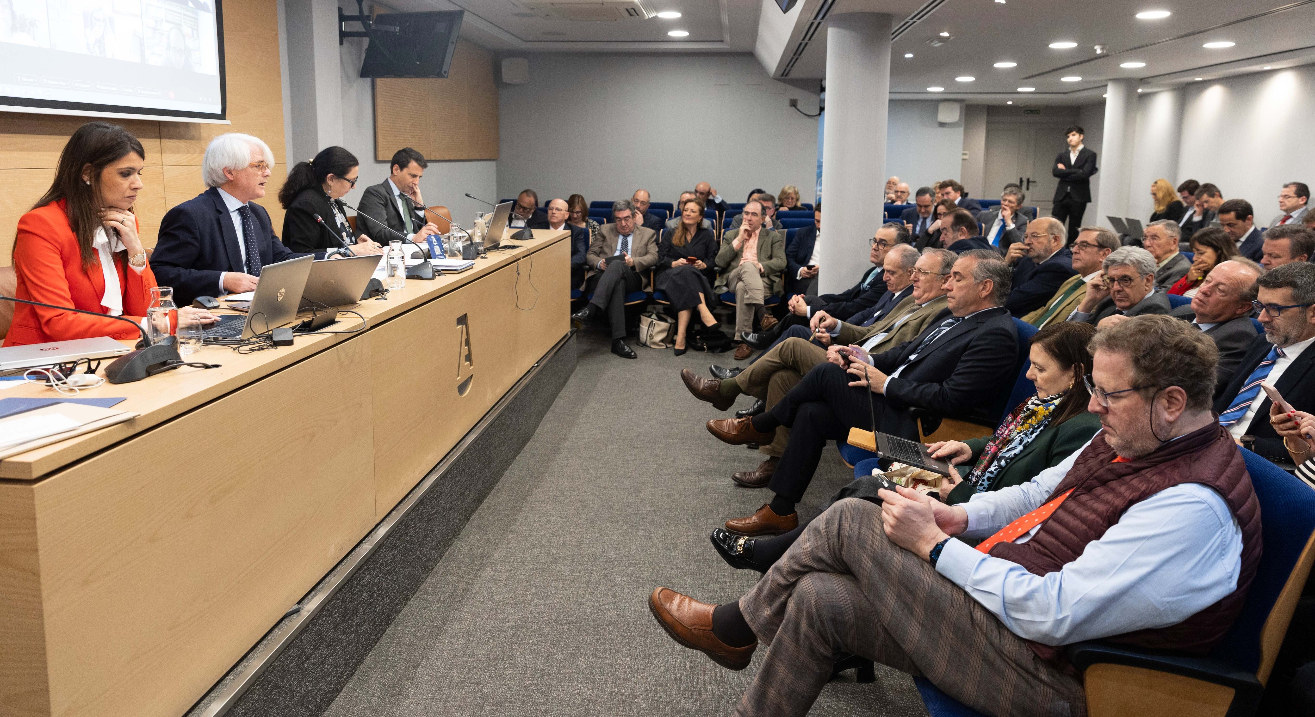 Pleno del Consejo General de la Abogacía