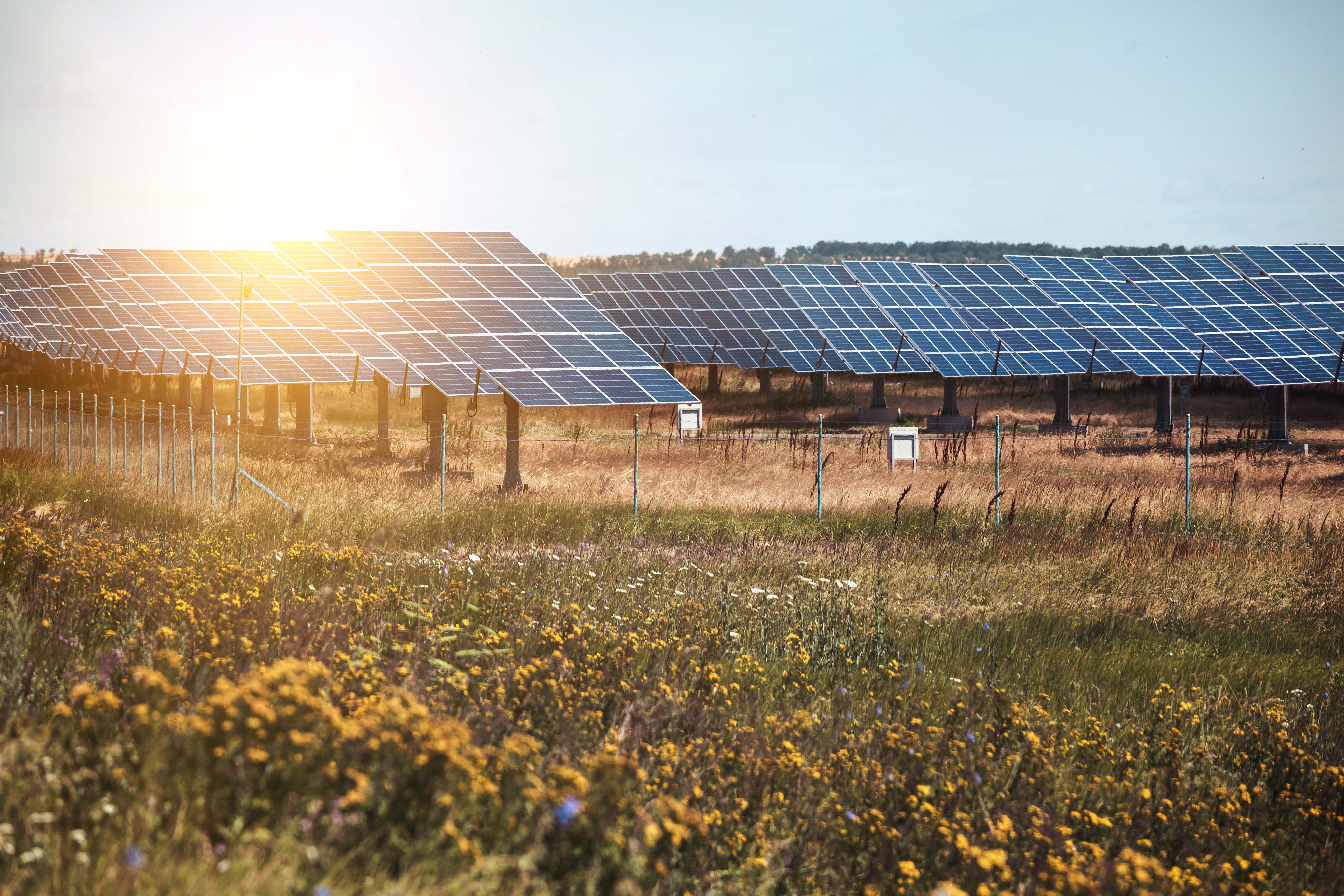 solar-panels-on-the-sky-background-2022-05-13-01-06-59-utc.jpg