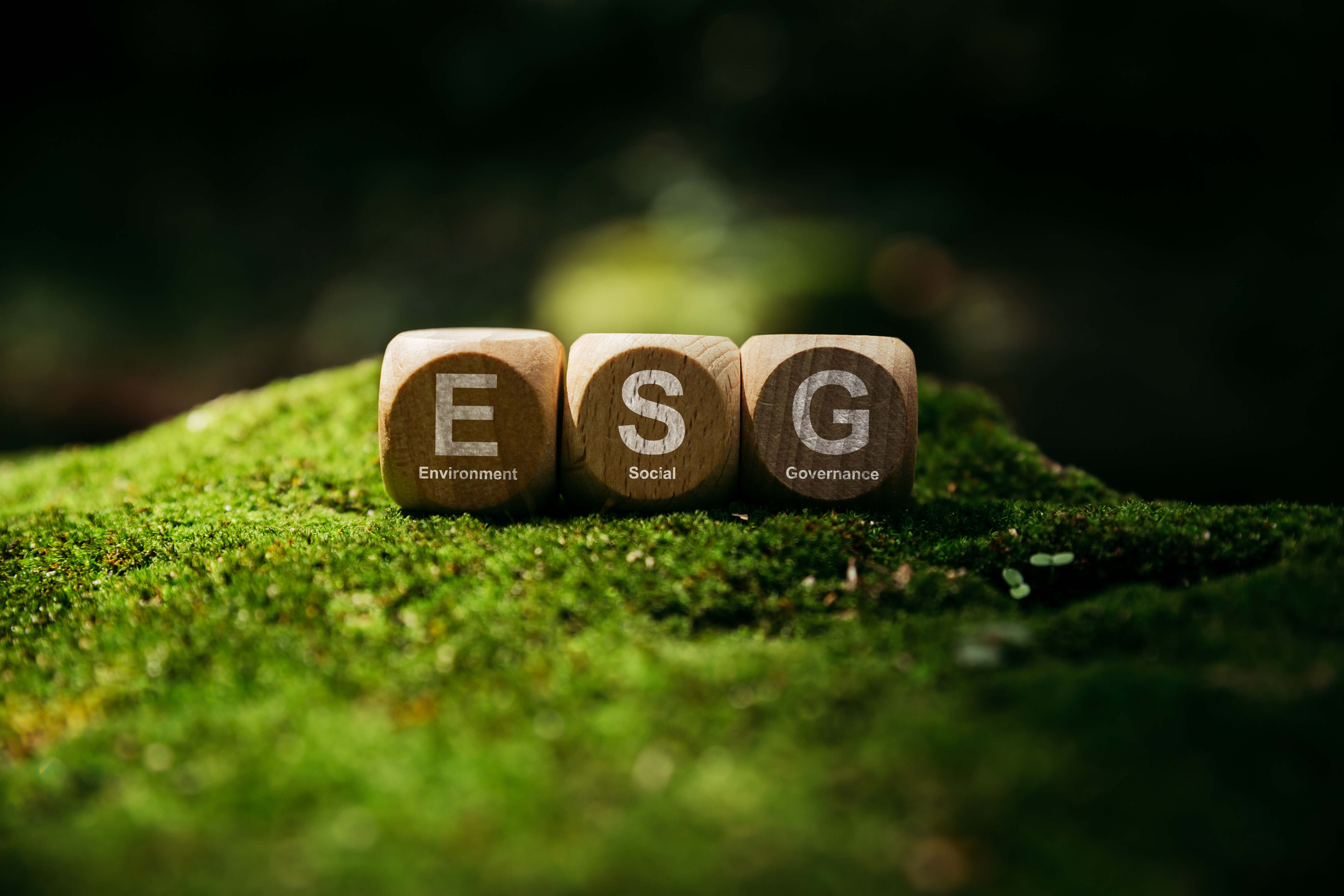 Dados.ESG.dreamstime