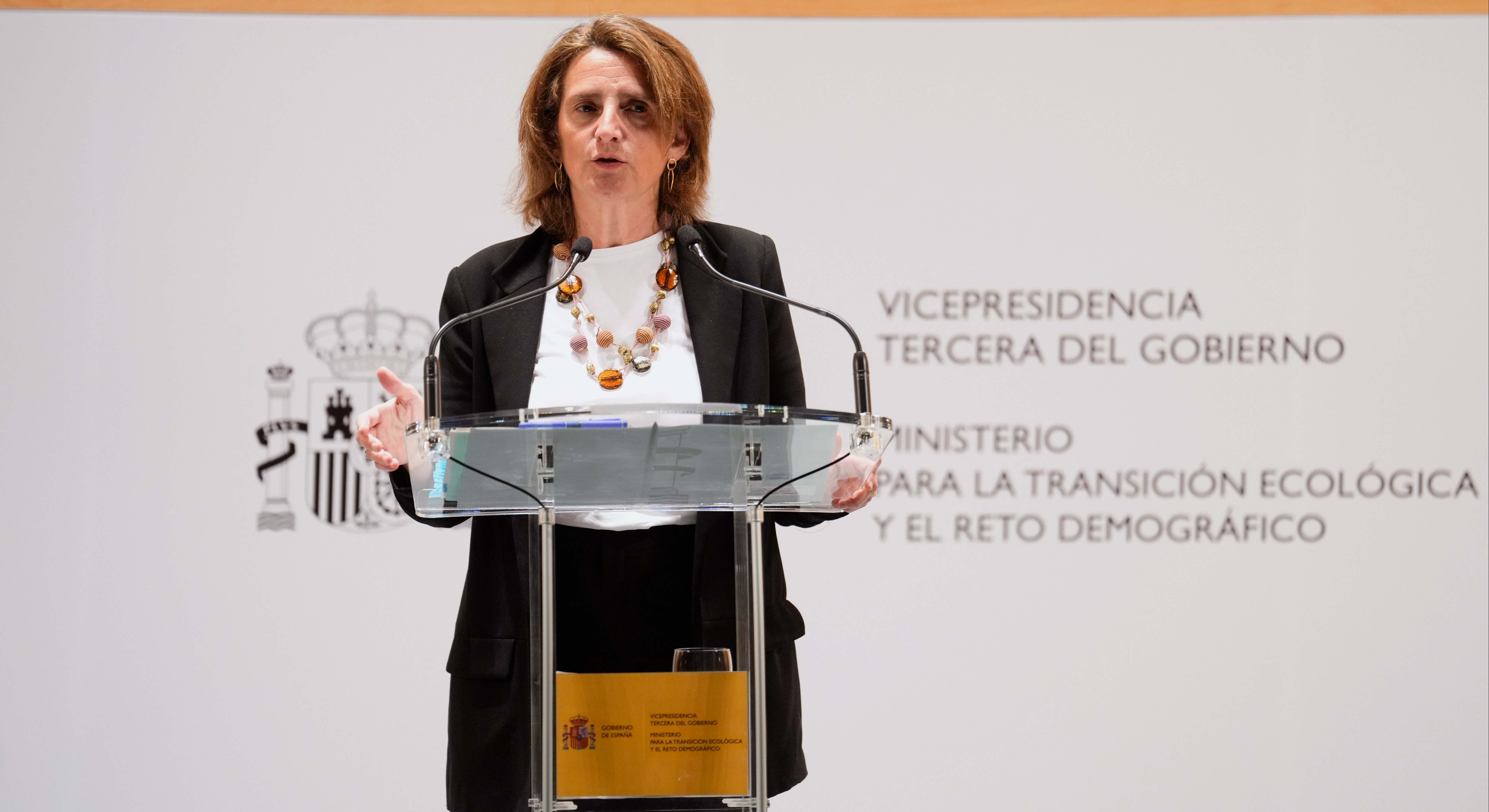 Teresa_Ribera_recurso