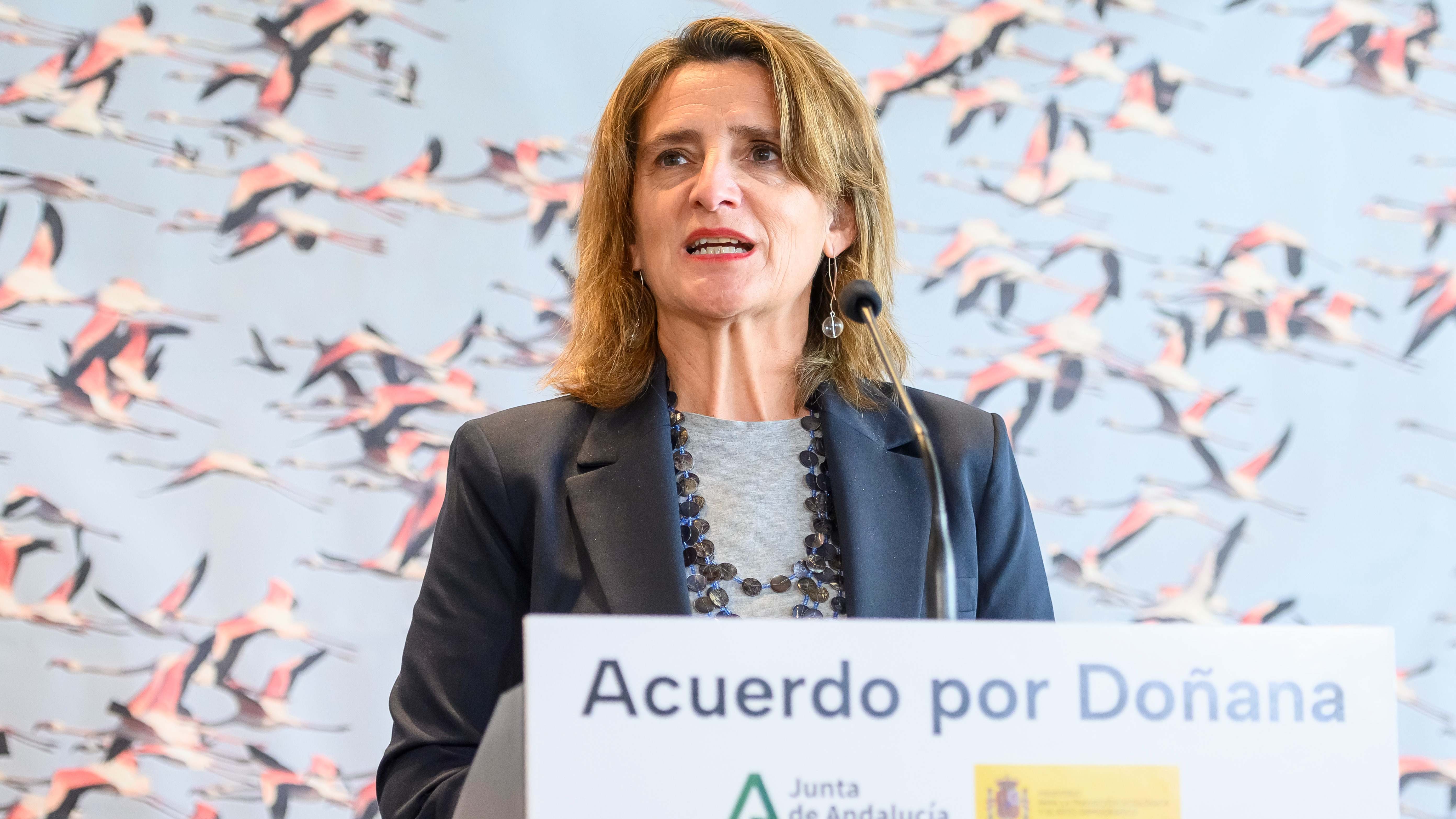 La vicepresidenta tercera del Gobierno, Teresa Ribera, durante el acuerdo de Doñana