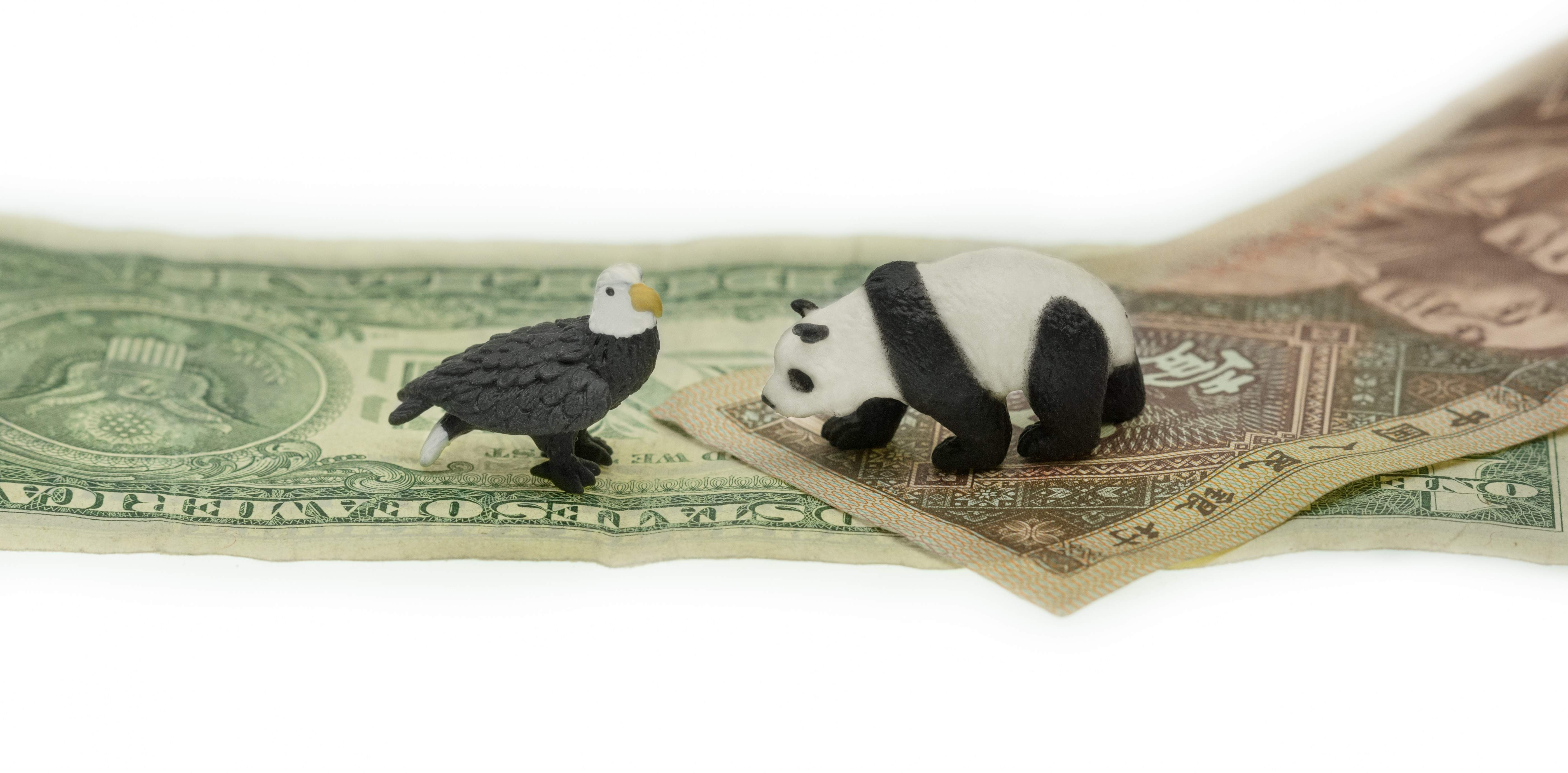 agula-oso-panda.jpg