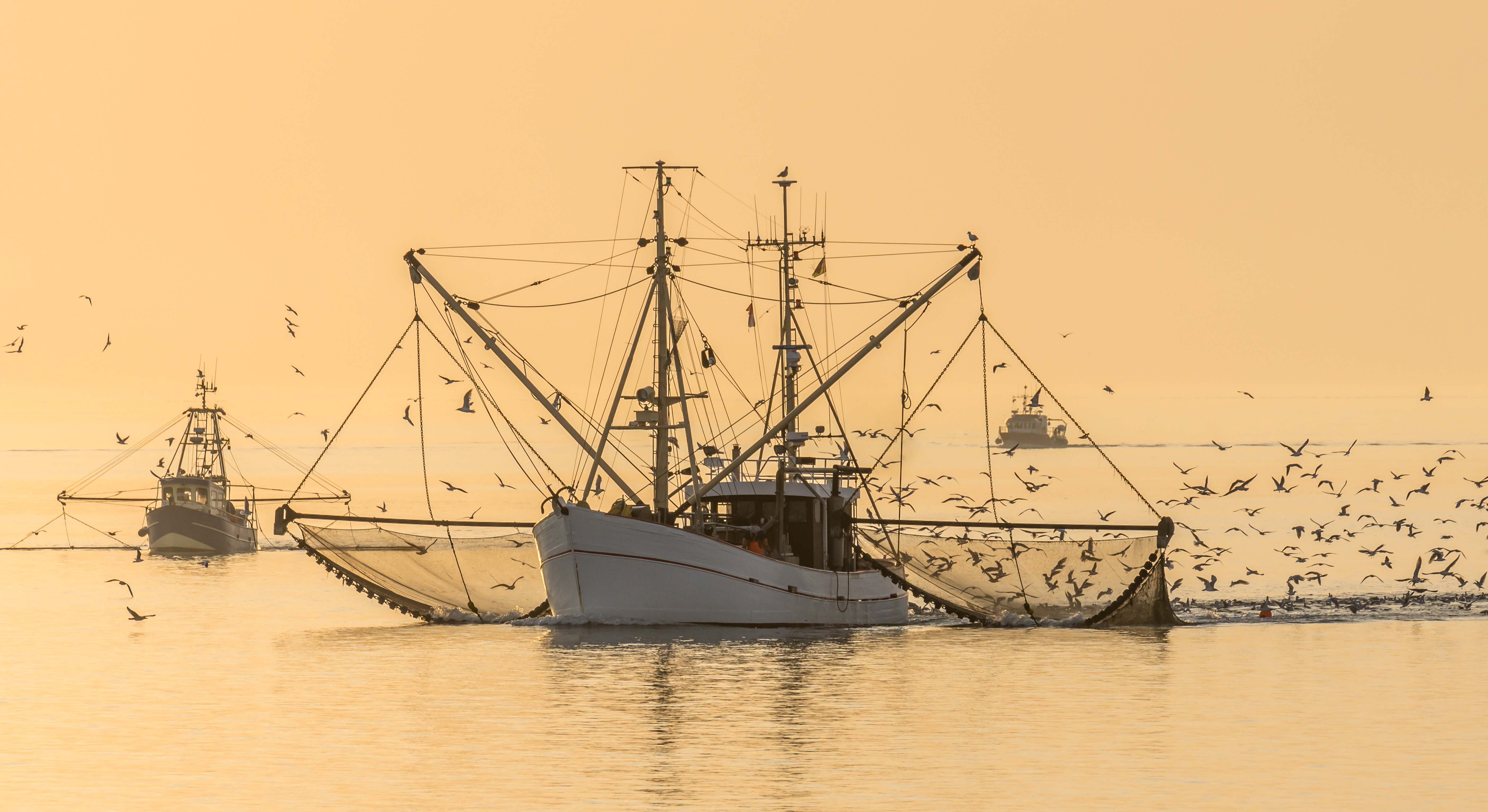 Pesca de arrastre