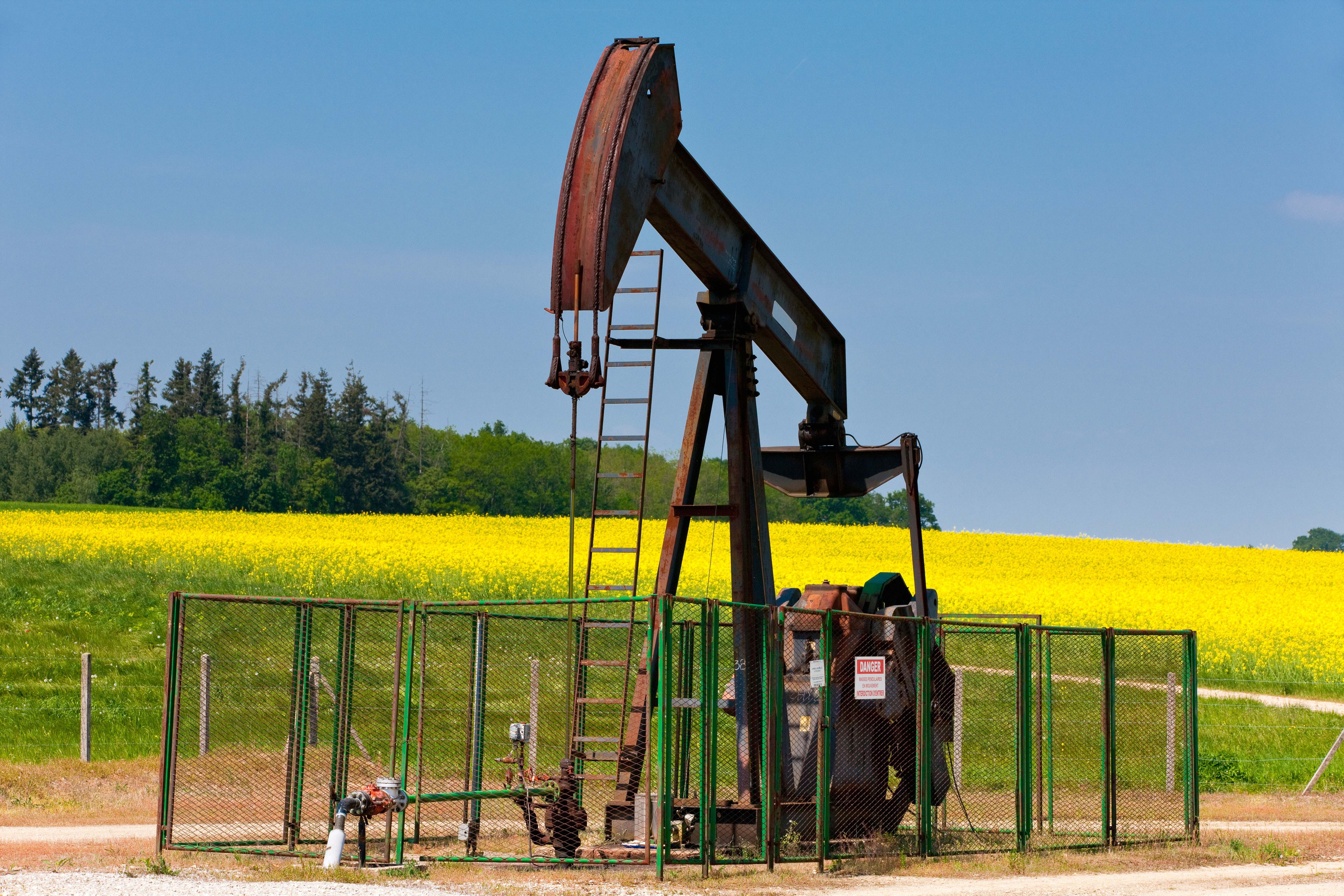 petróleo colza precios bomba extracción