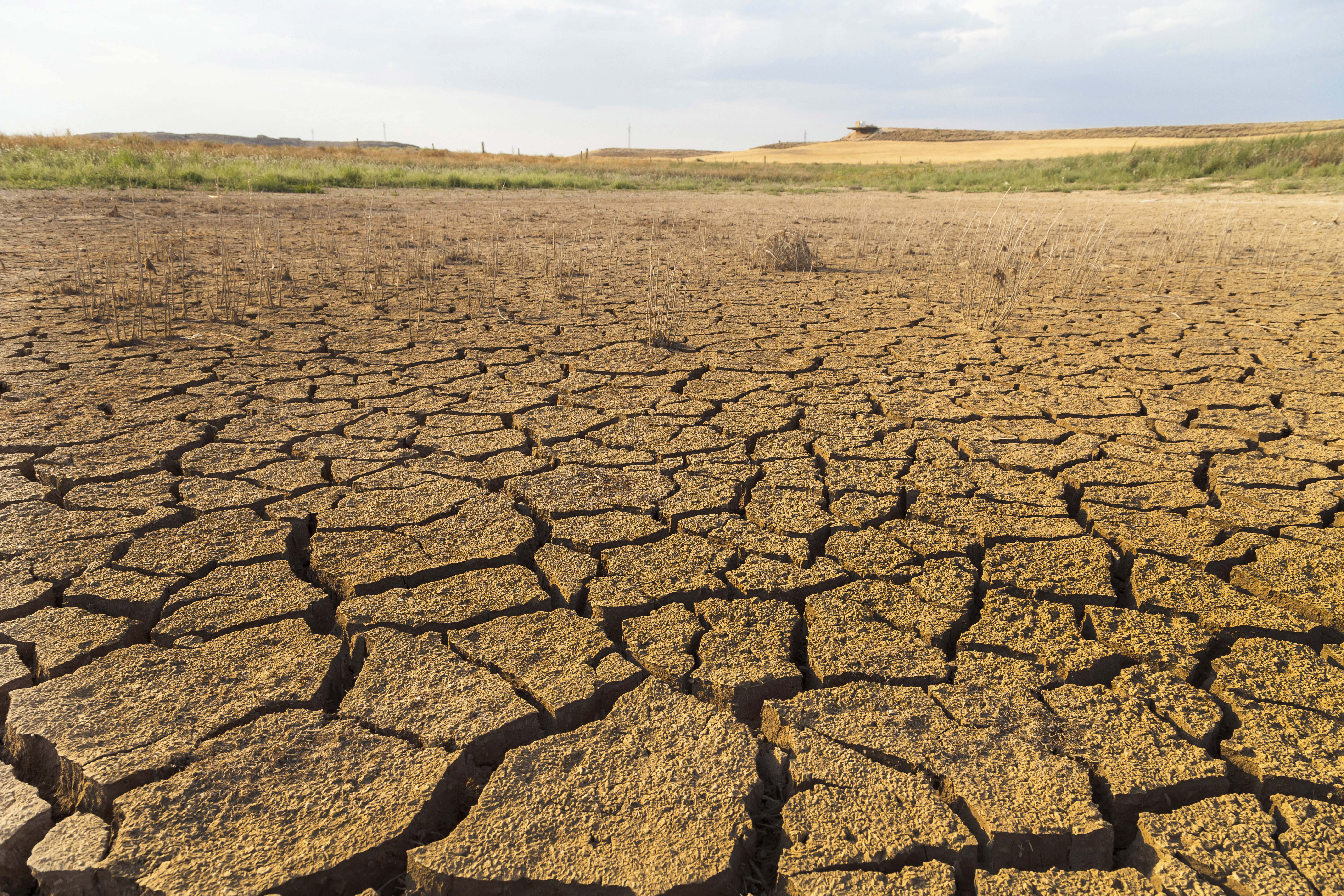 La sequía se ha cebado con el campo español