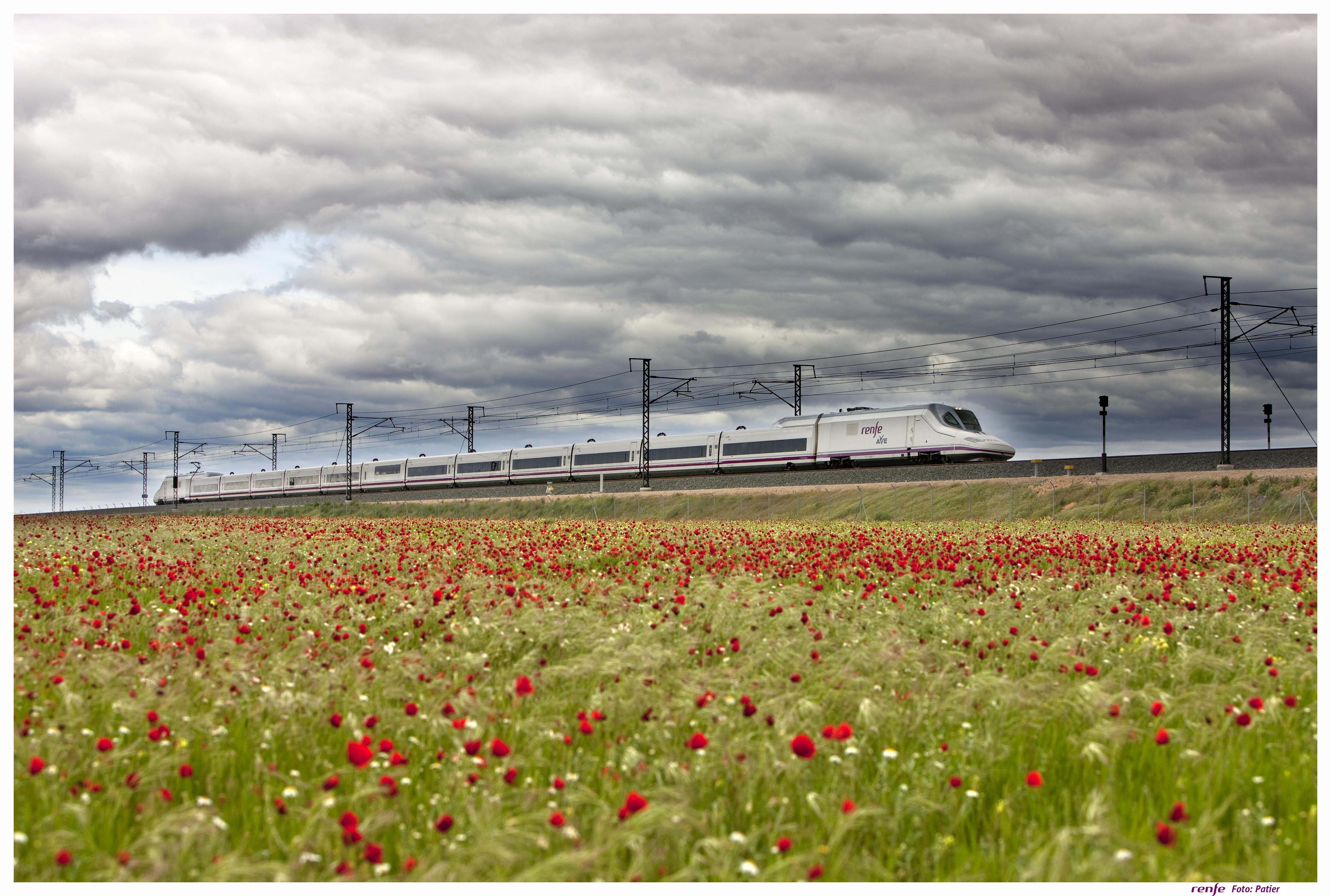 Tren de Renfe en campo de amapolas