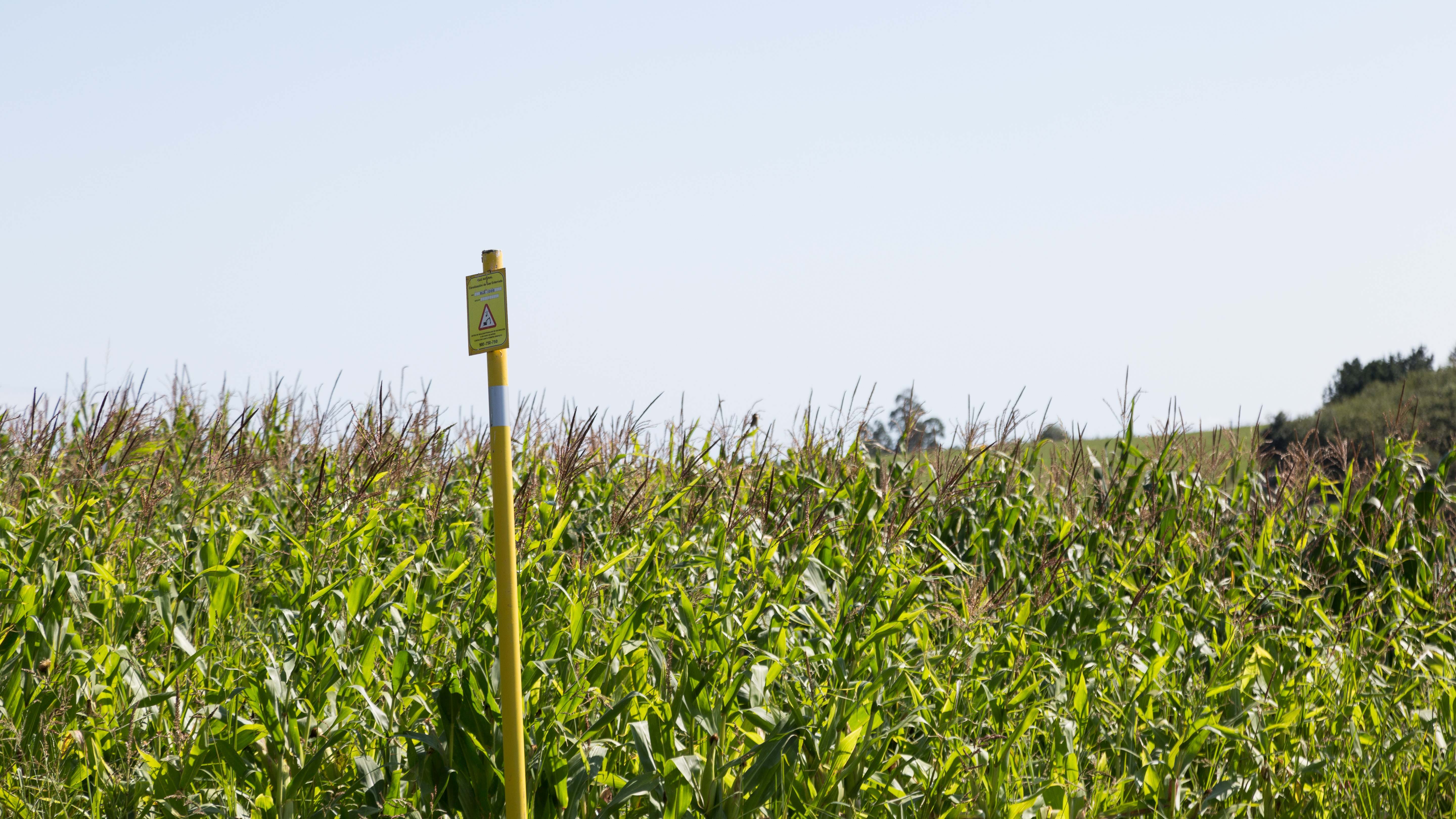 Naturgy conecta a su red de distribución de gas la planta de biometano BioVO de Granollers