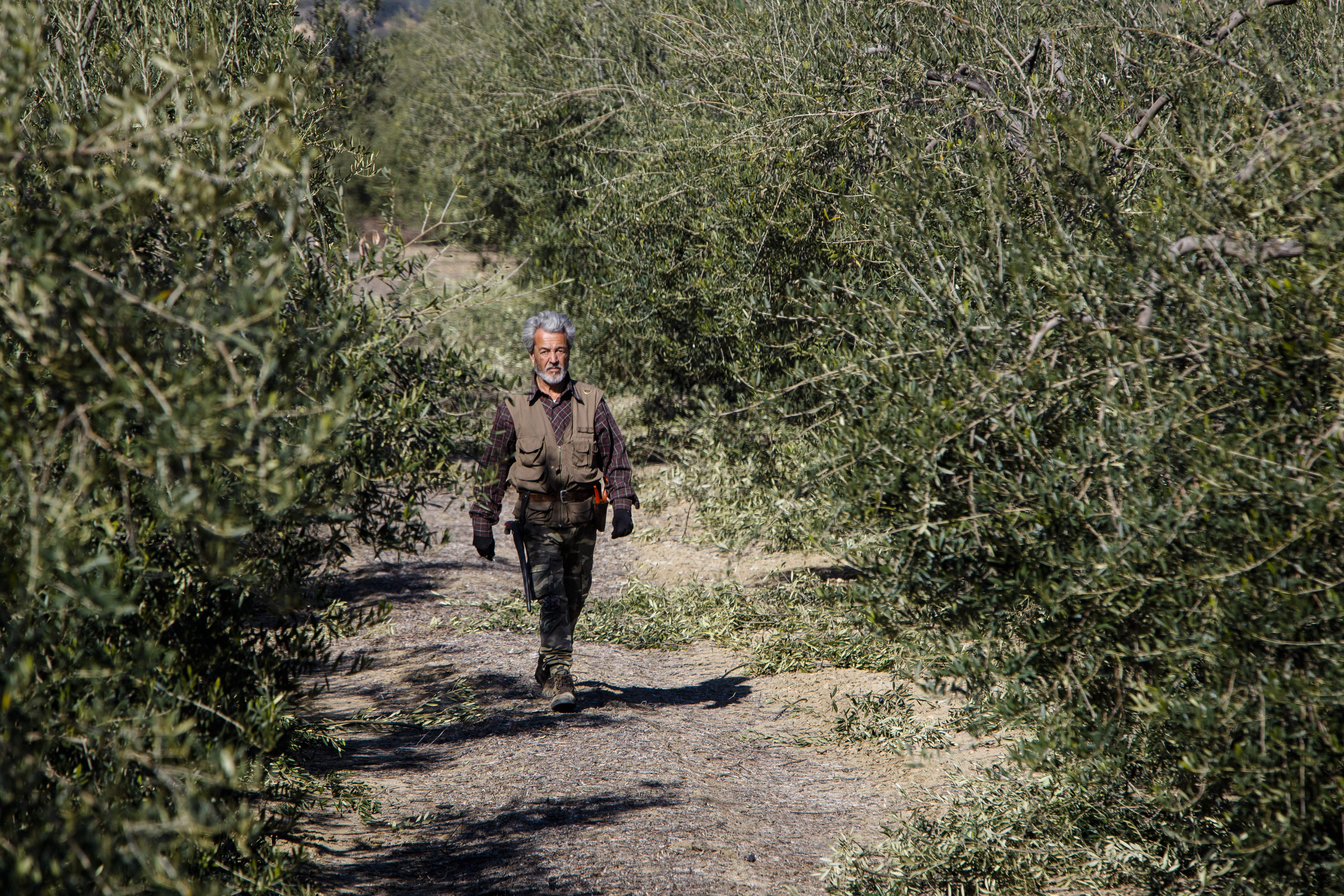 Olivar-Fernando-Ruso-011.jpg