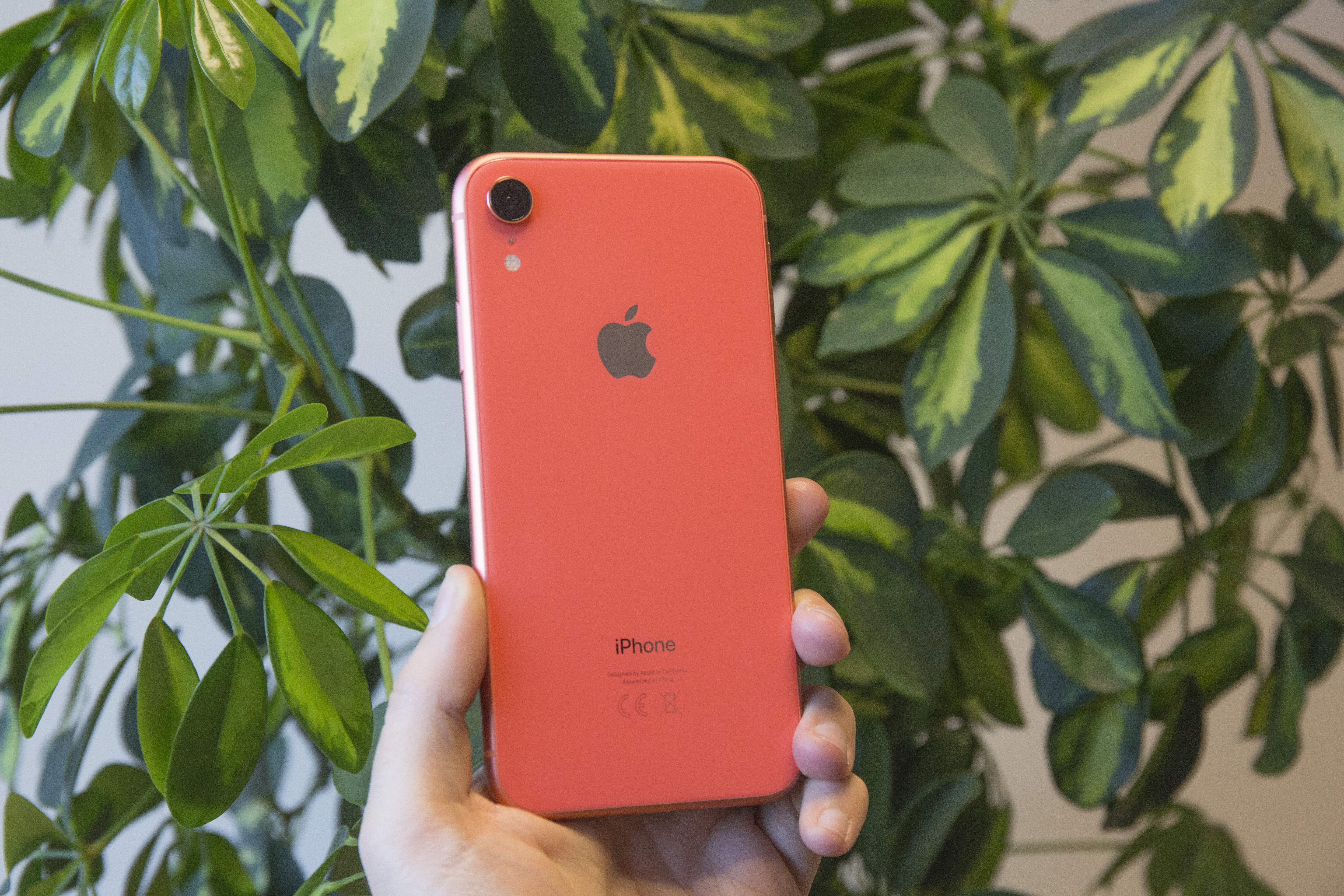 iphone-trasera_5.JPG