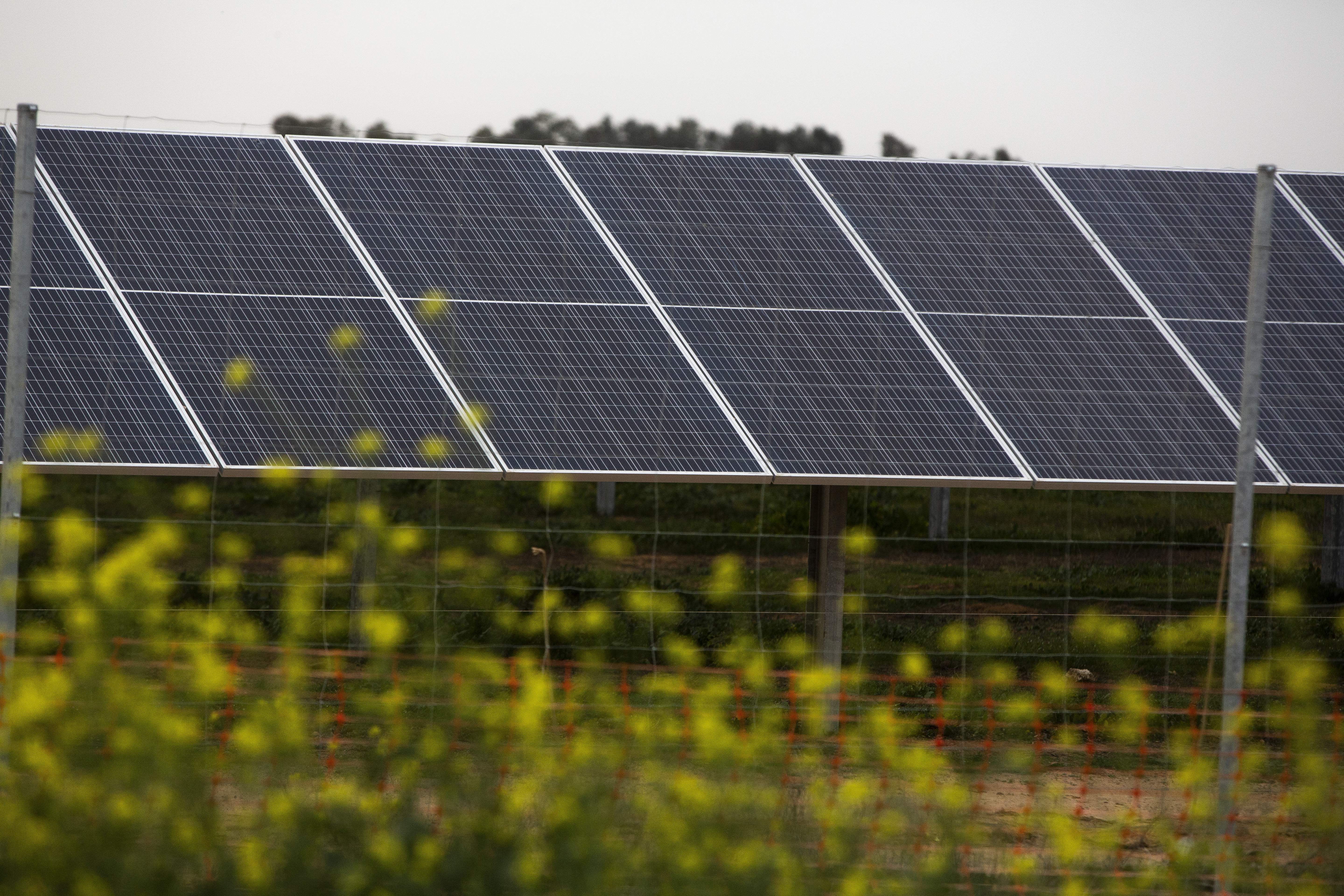 Fotovoltaica-Sevilla-Fernando-Ruso-_10.jpg